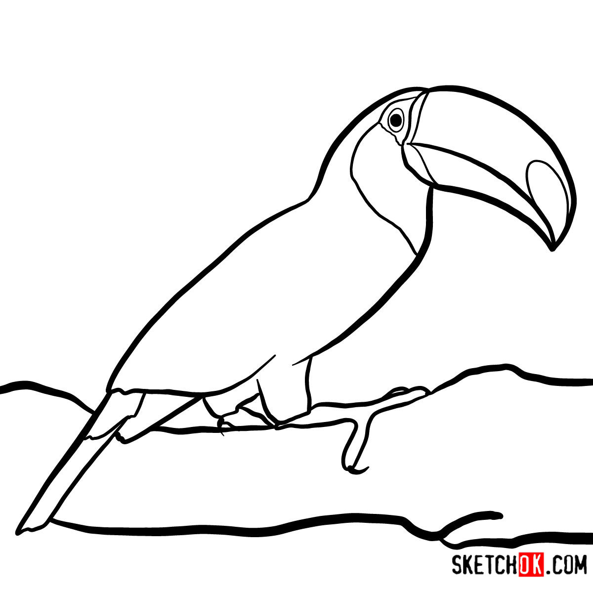 How to draw a Toucan