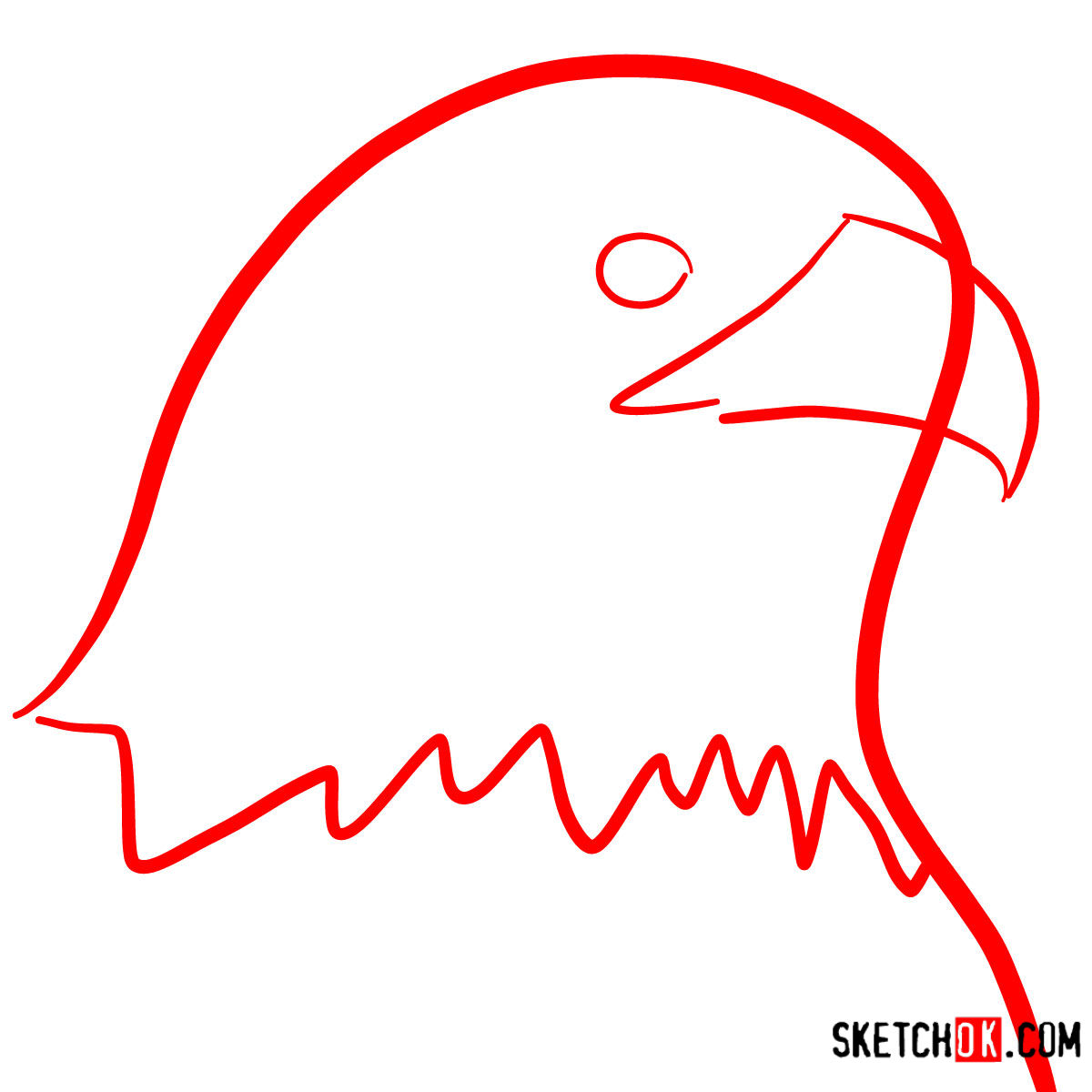 How to draw Bald Eagle's head | Birds - step 01