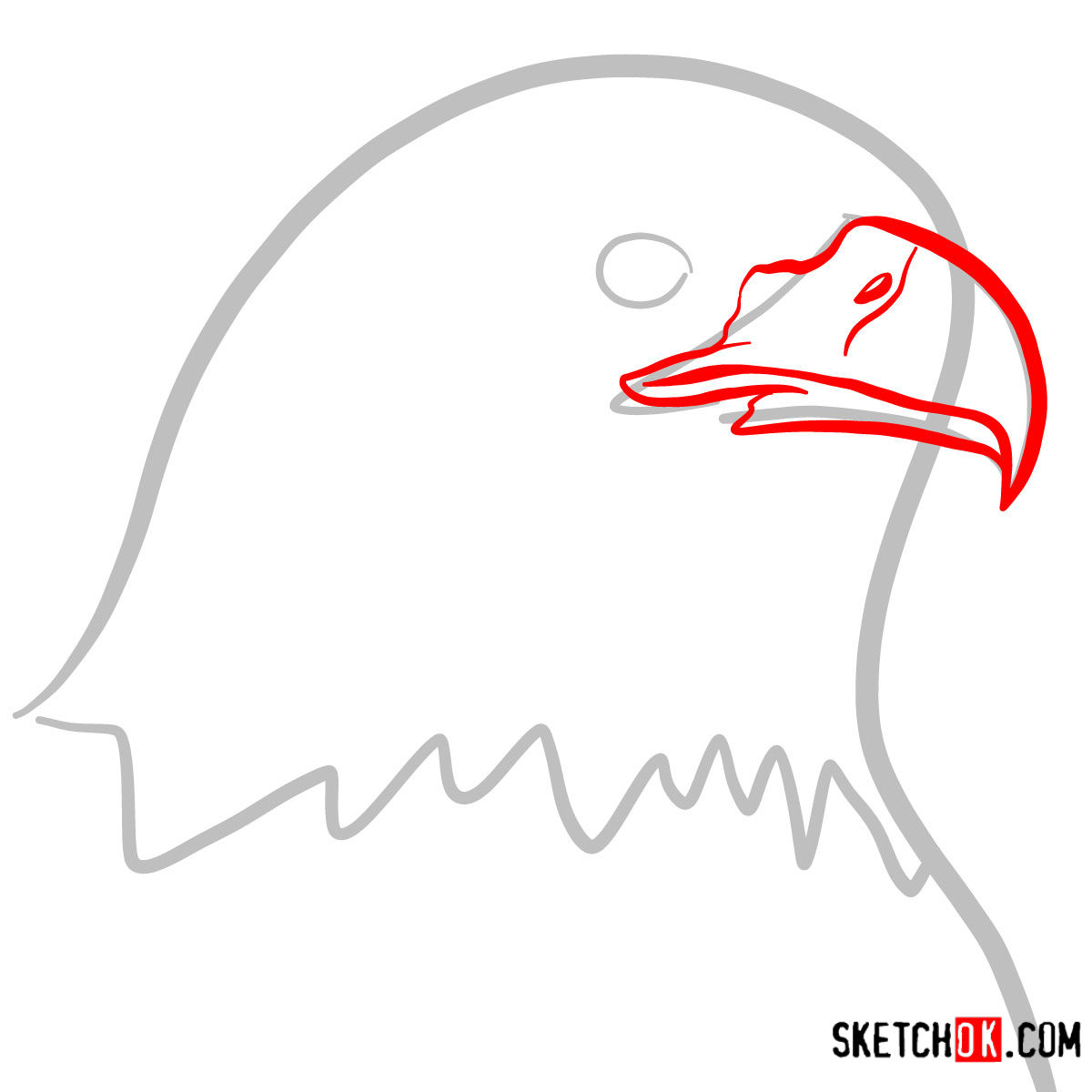 How to draw Bald Eagle's head | Birds - step 02
