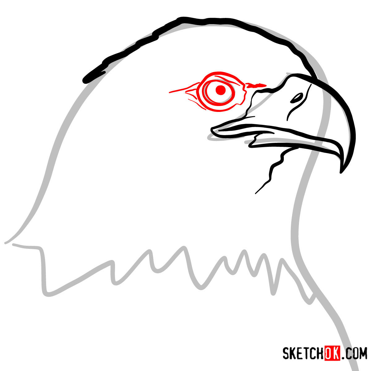 How to draw Bald Eagle's head | Birds - step 04