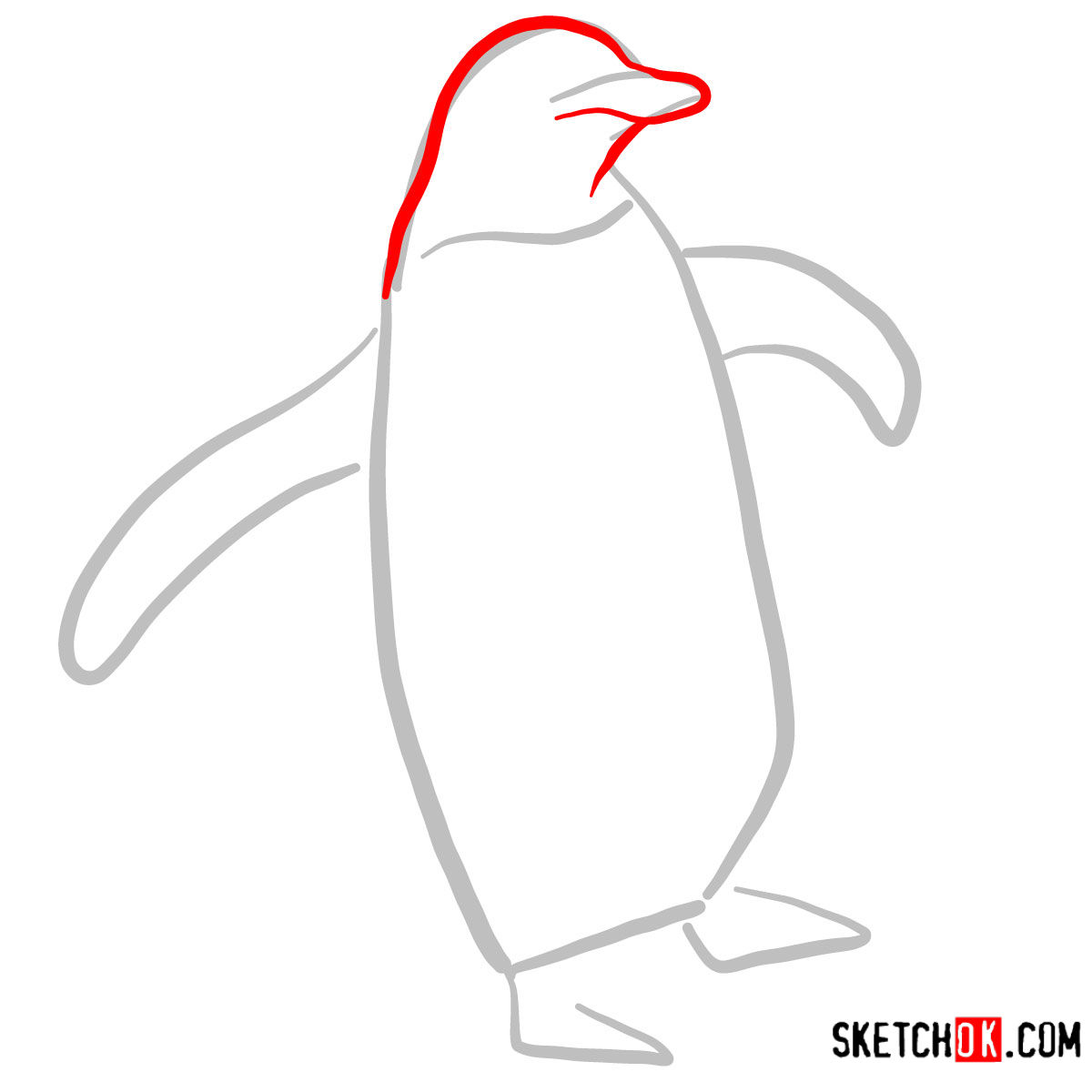 How to draw a Penguin | Birds - step 02