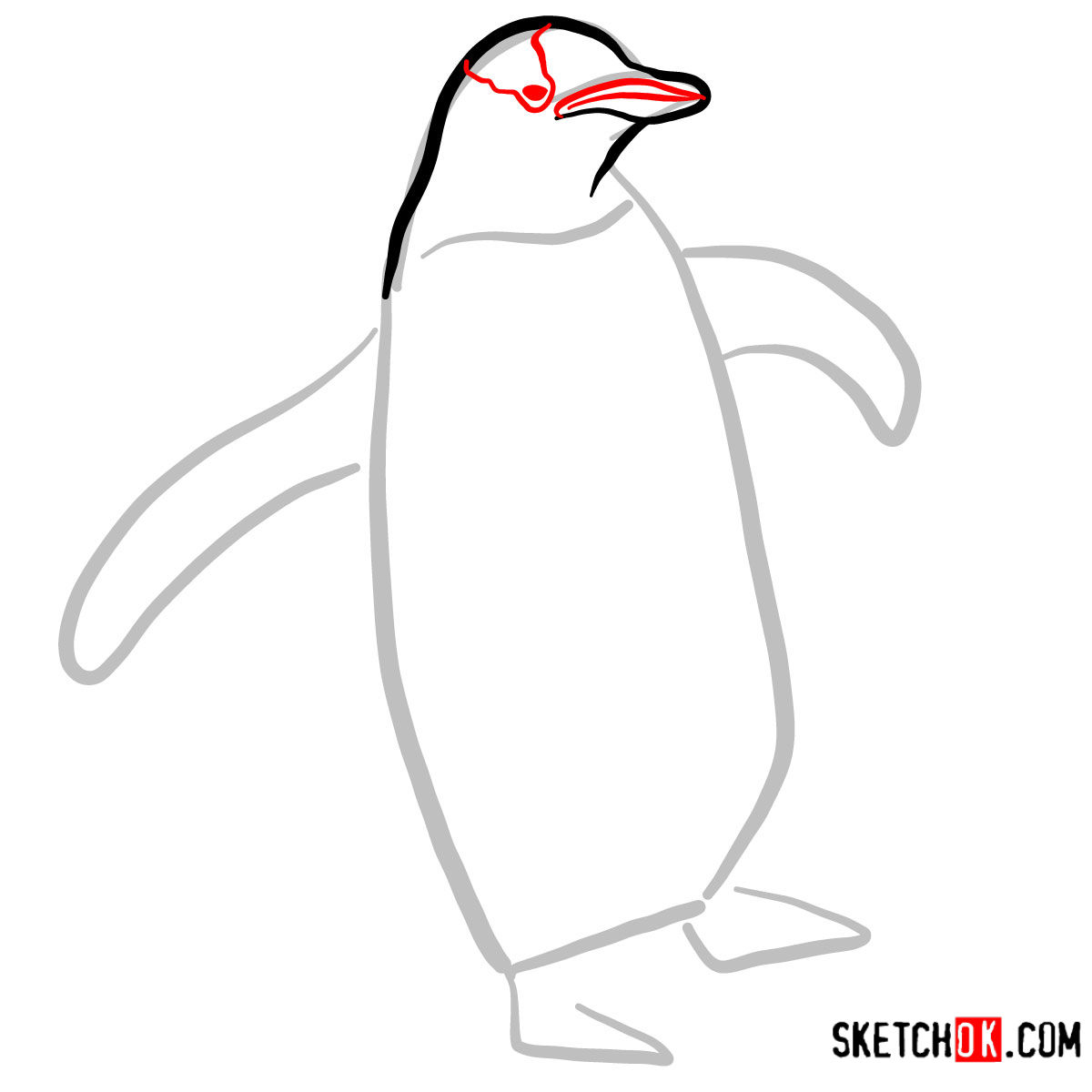 How to draw a Penguin | Birds - step 03