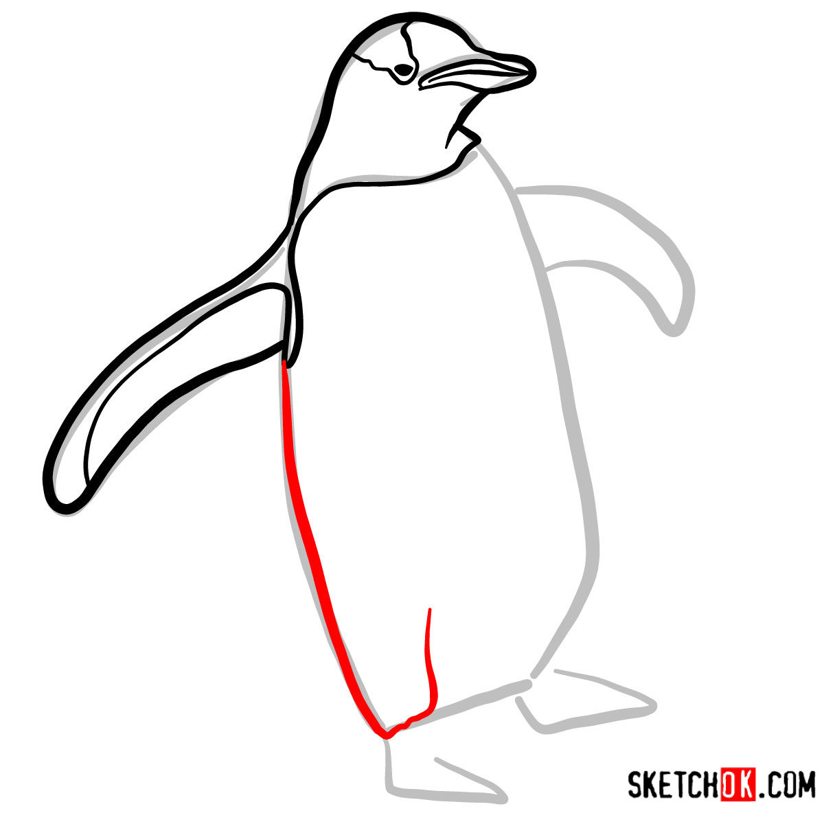 How to draw a Penguin | Birds - step 05