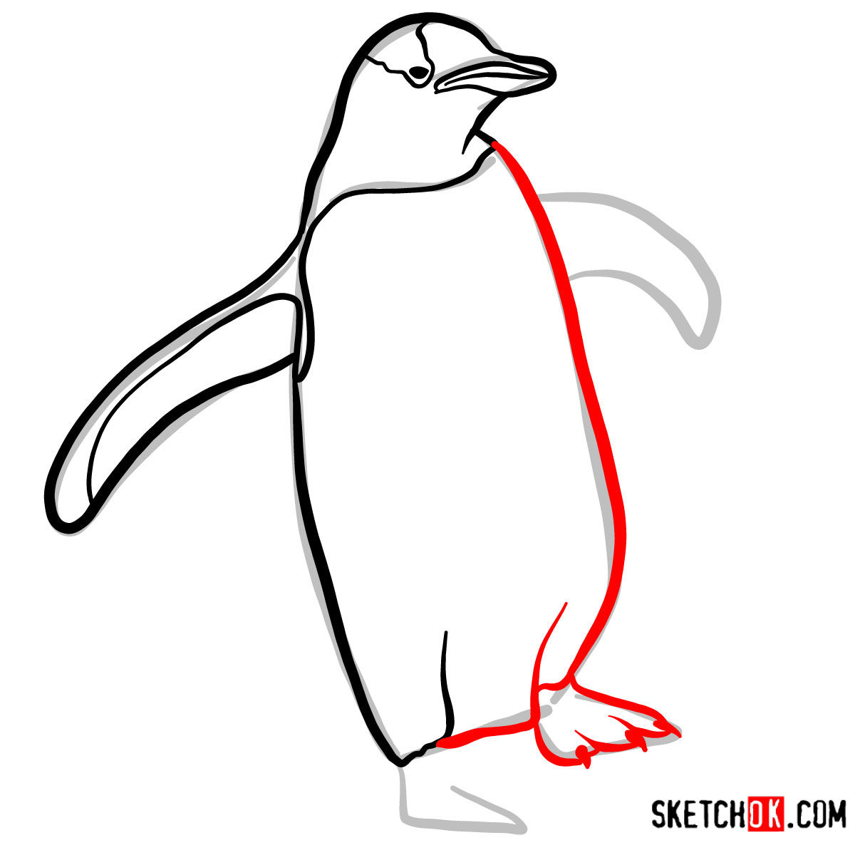 How to draw a Penguin | Birds - step 06