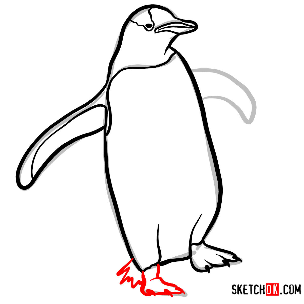 How to draw a Penguin | Birds - step 07