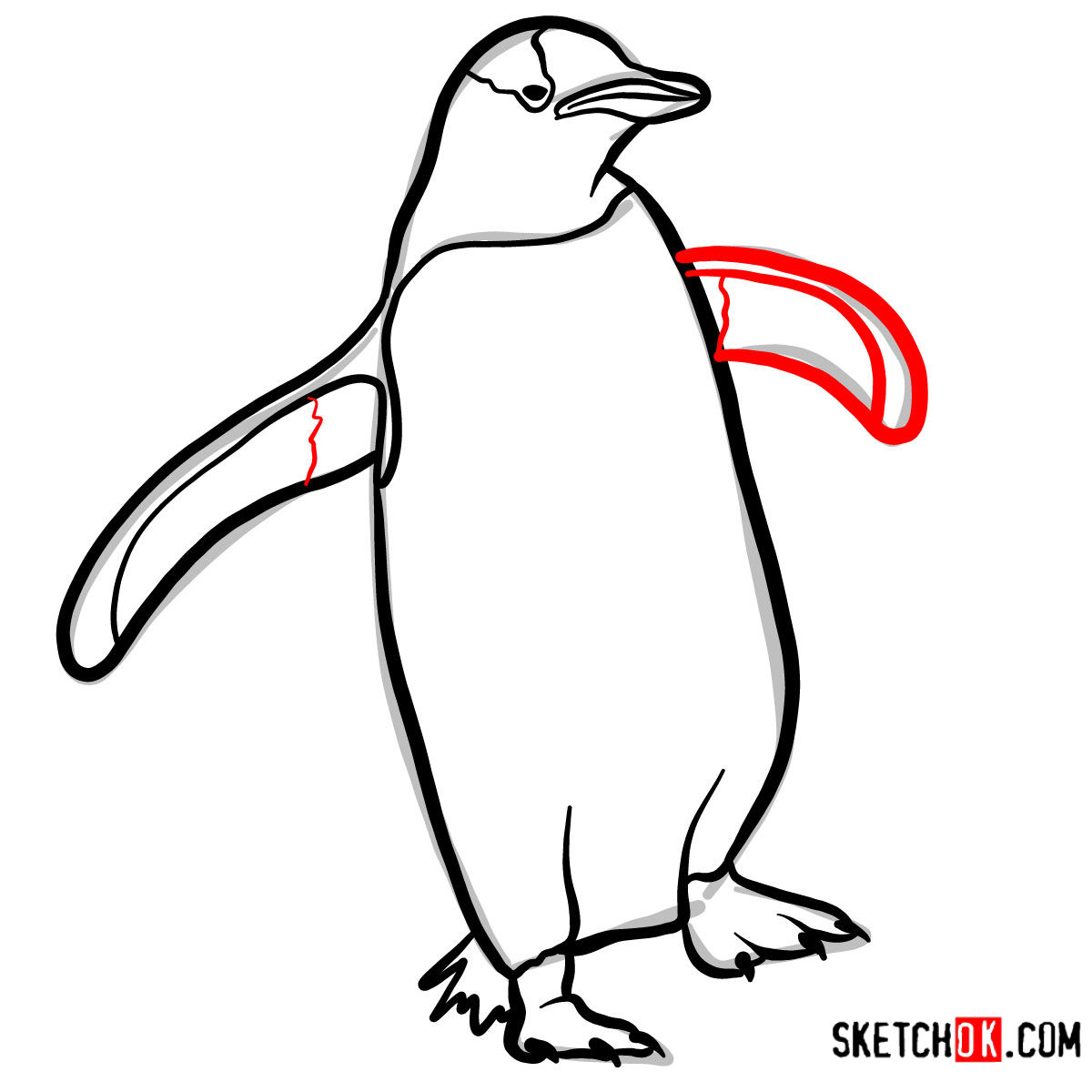 How to draw a Penguin | Birds - step 08