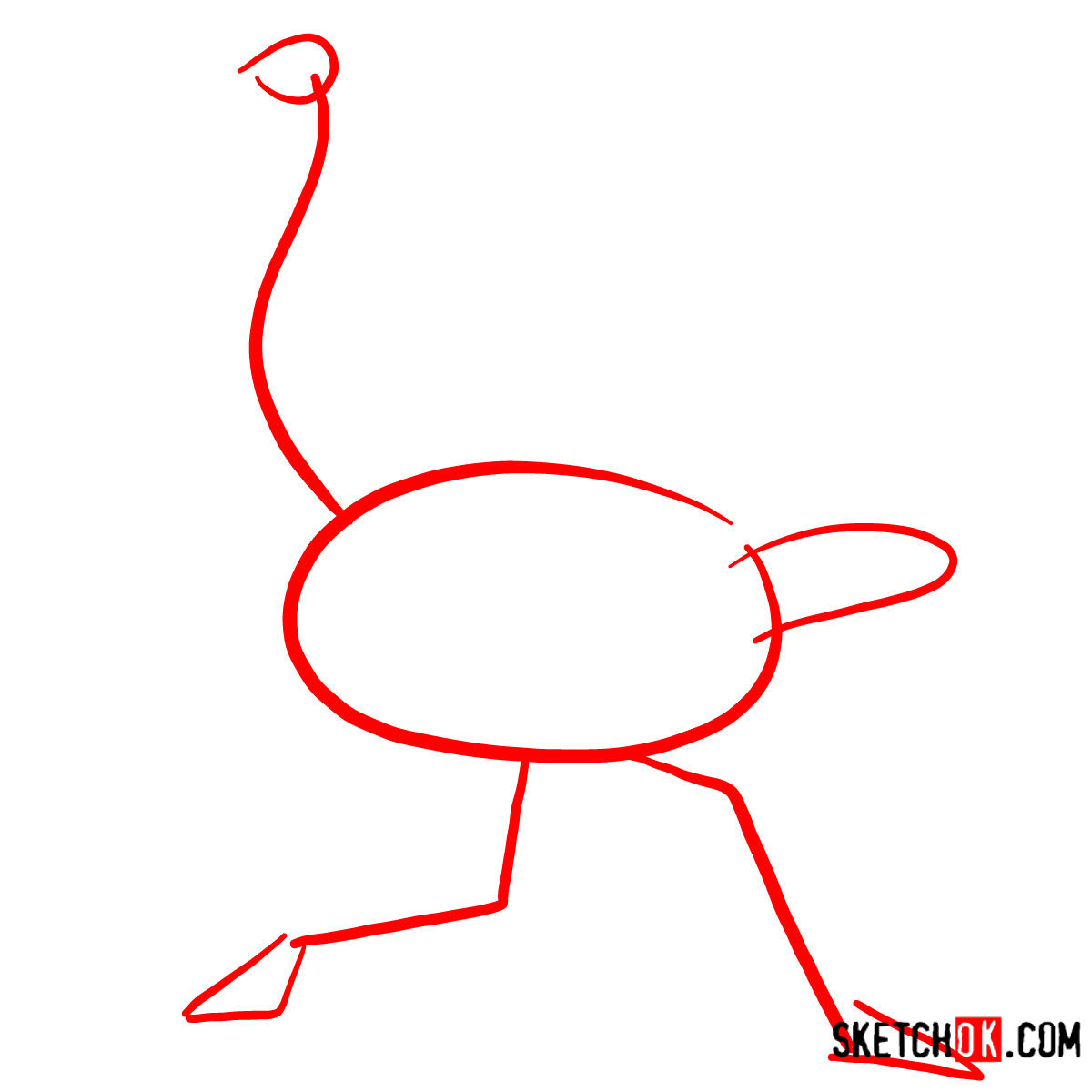 How to draw an Ostrich | Birds - step 01