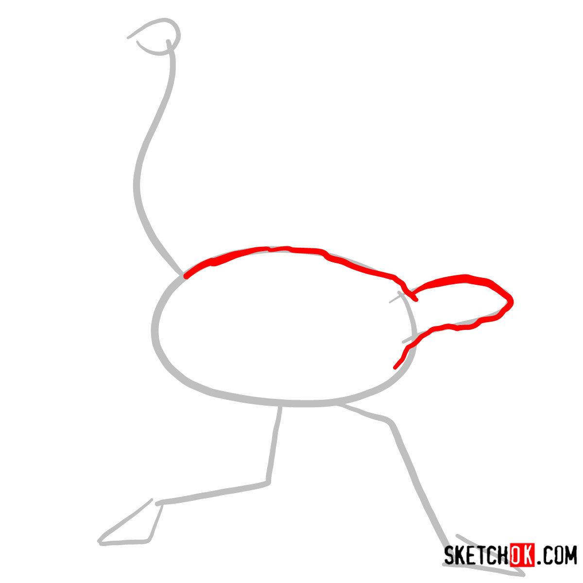 How to draw an Ostrich | Birds - step 02