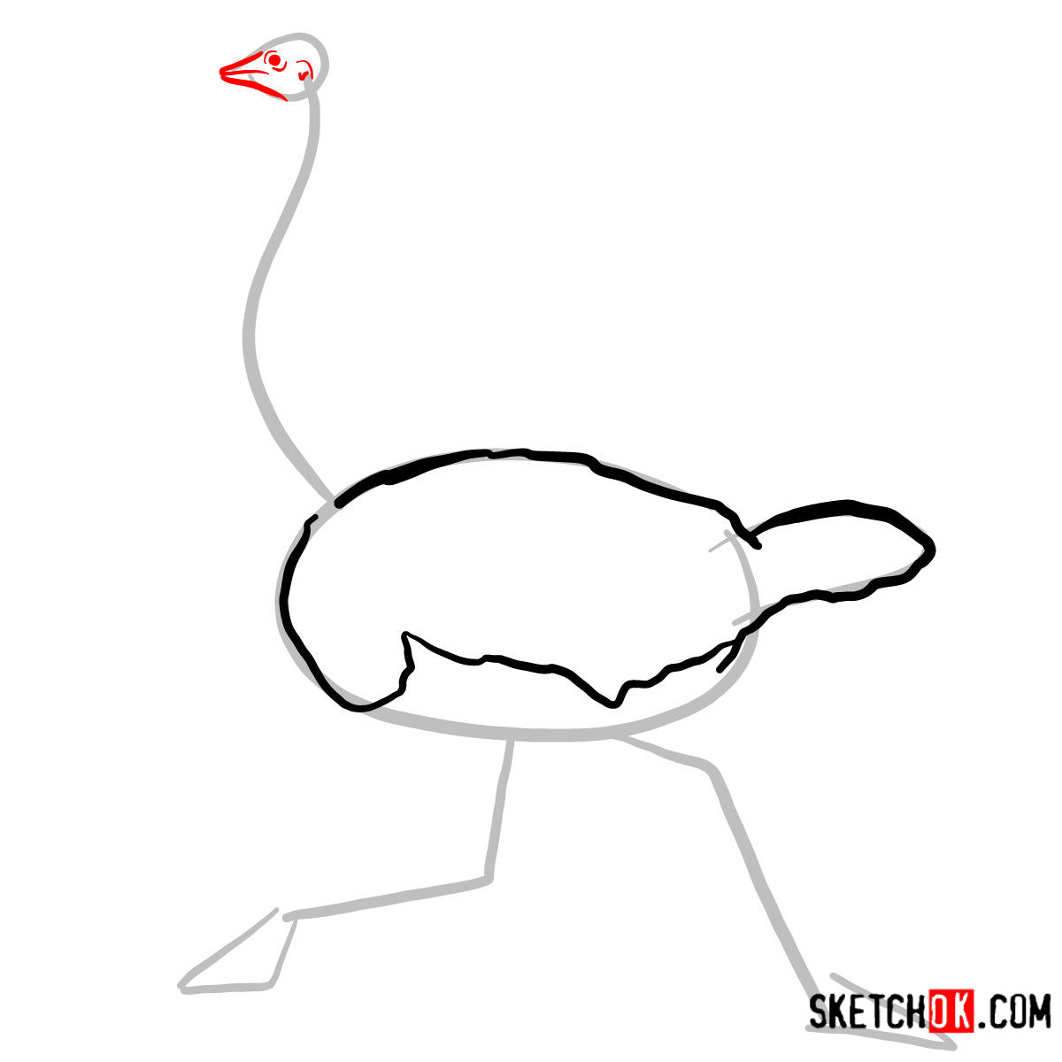 How to draw an Ostrich | Birds - step 04