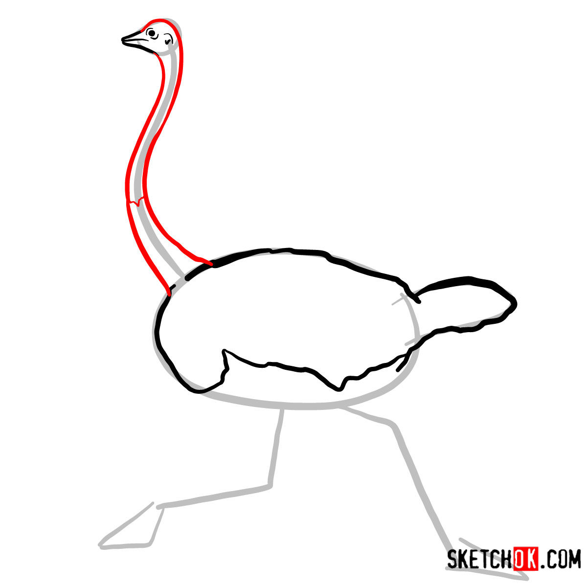 How to draw an Ostrich | Birds - step 05