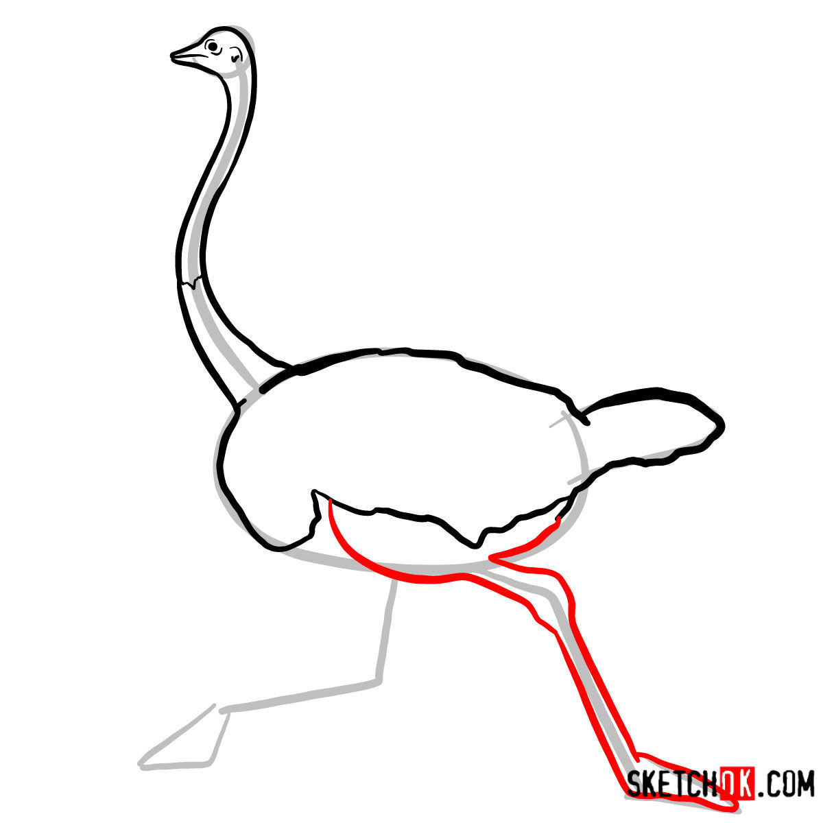 How to draw an Ostrich | Birds - step 06