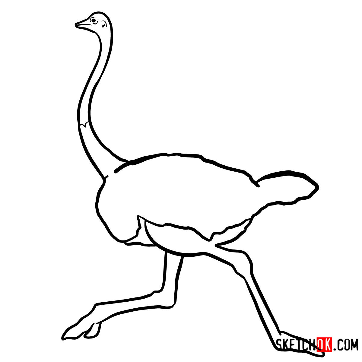 How to draw an Ostrich