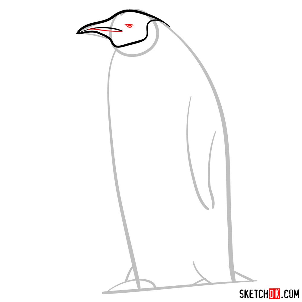 How to draw an emperor penguin - step 04