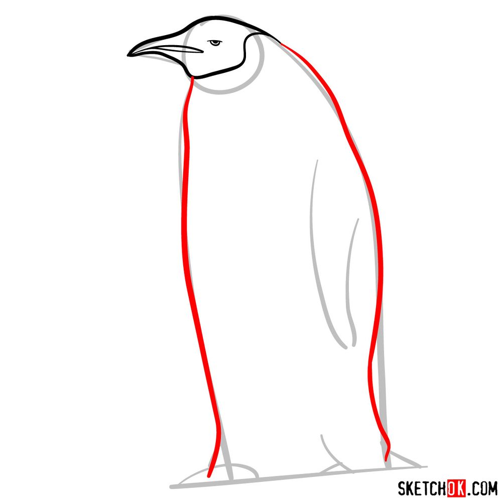 How to draw an emperor penguin - step 05