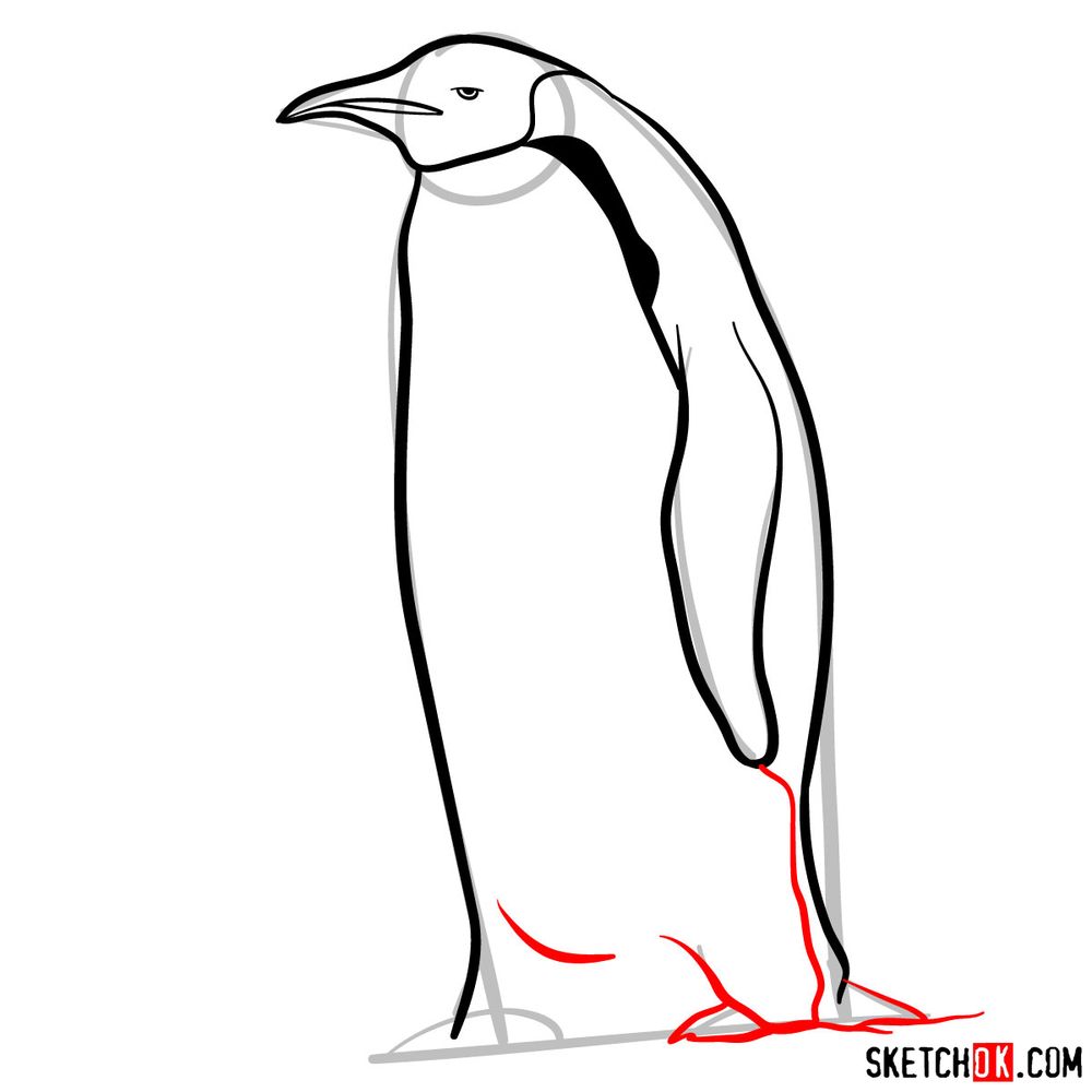 How to draw an emperor penguin - step 07
