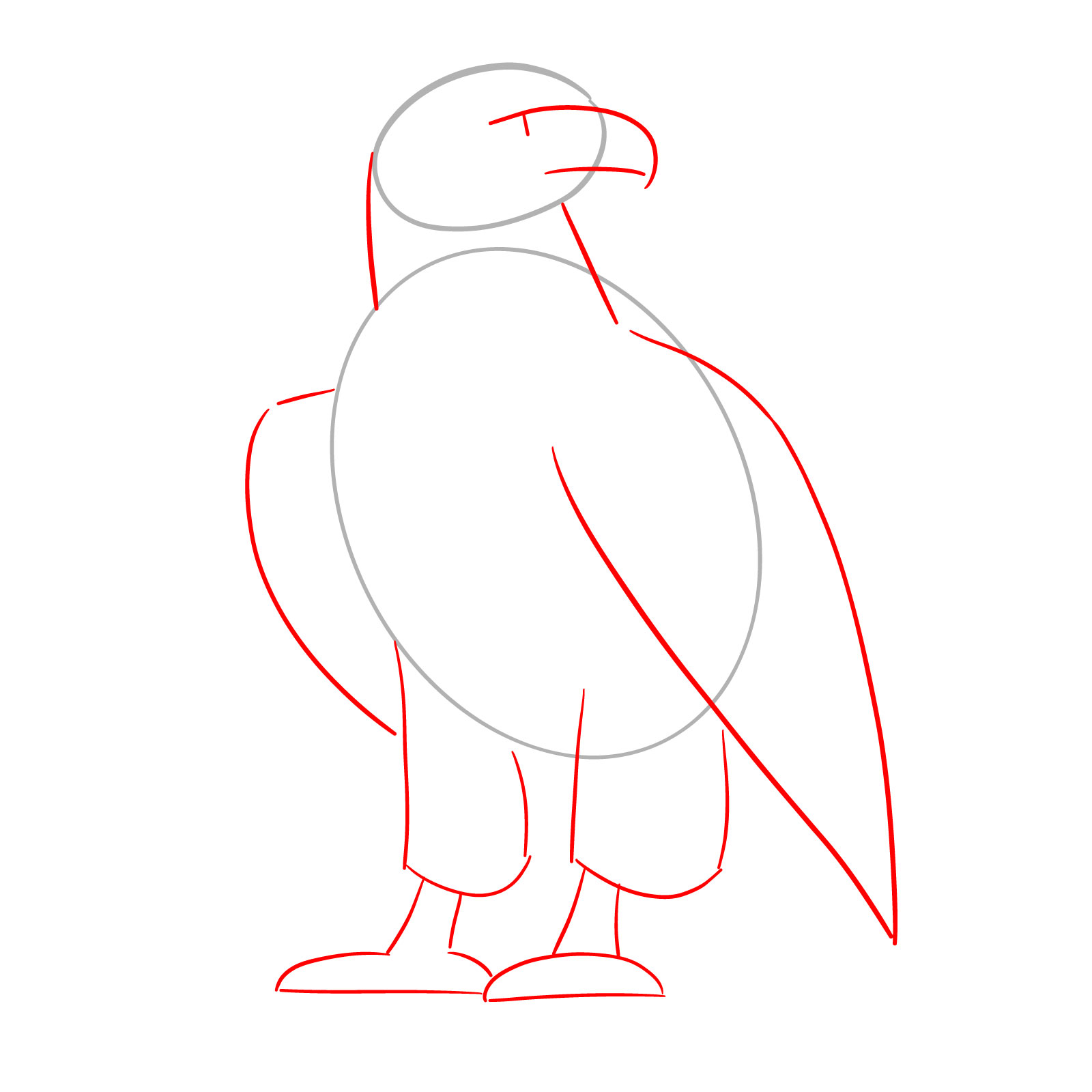 Basic structure lines for bald eagle neck, wings, and legs - step 02