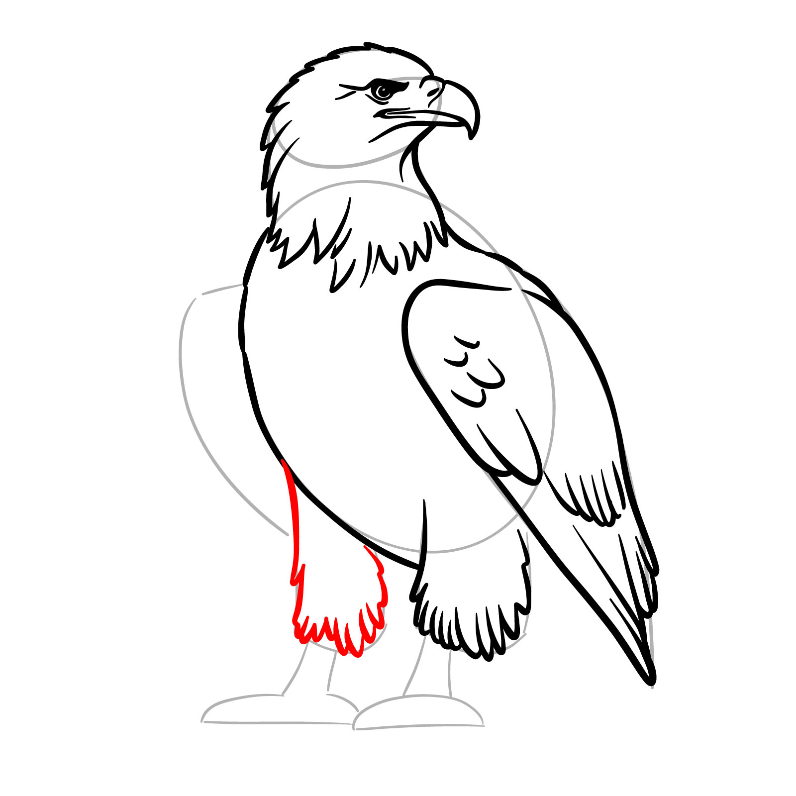 Upper part of second leg in bald eagle drawing - step 12