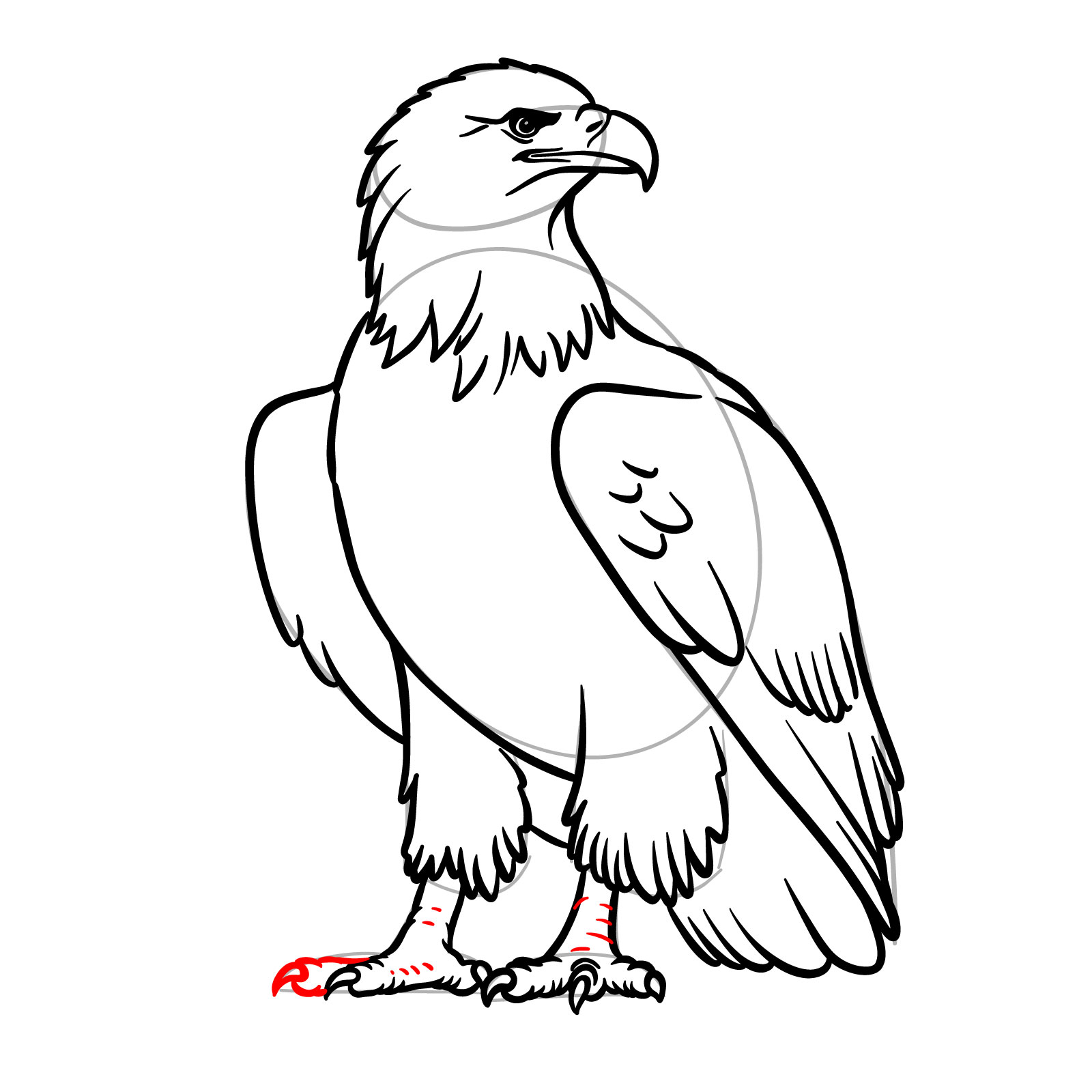 Visible toes and leg texture details added to bald eagle drawing - step 17