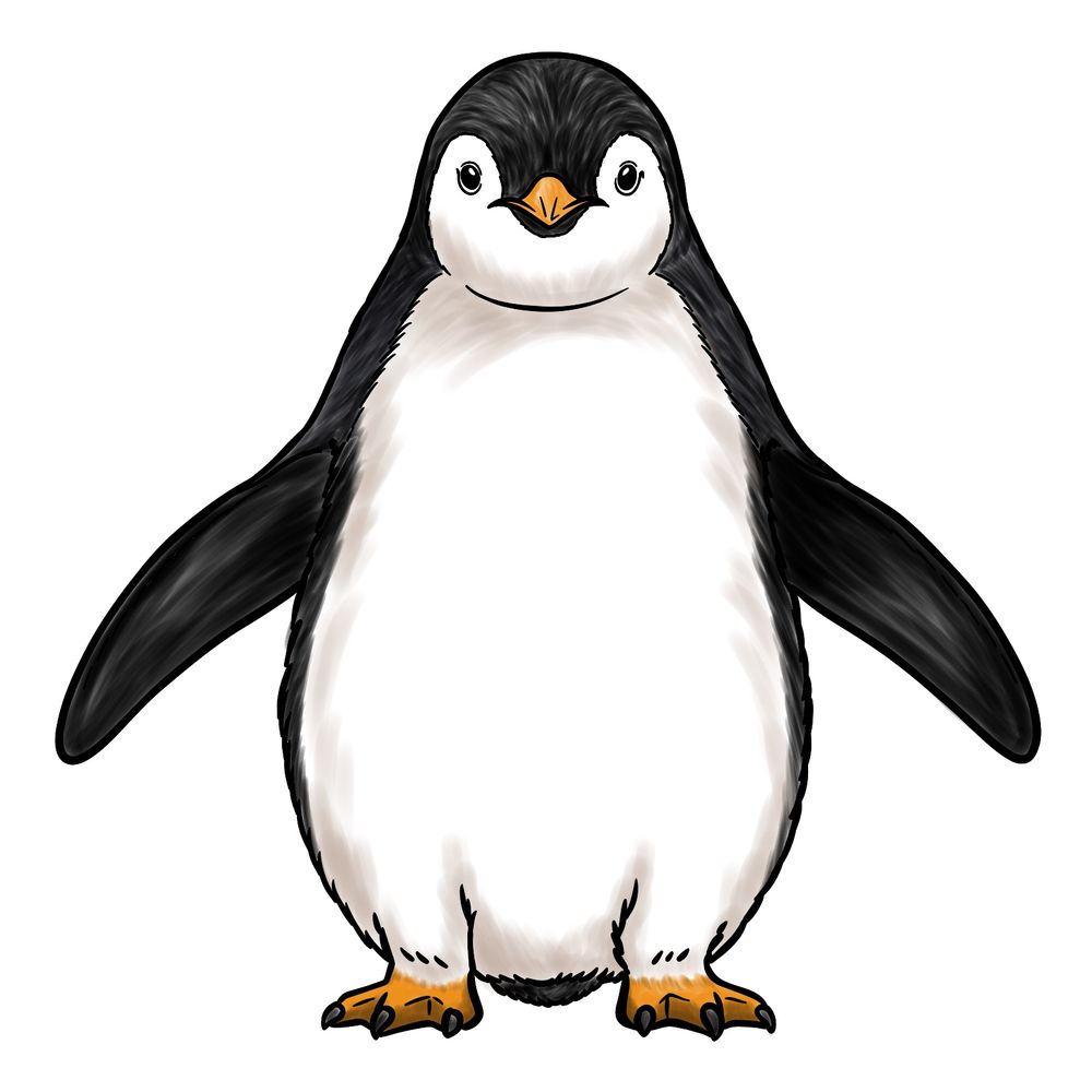 Step-by-Step Guide for Creating a Penguin Front View Drawing