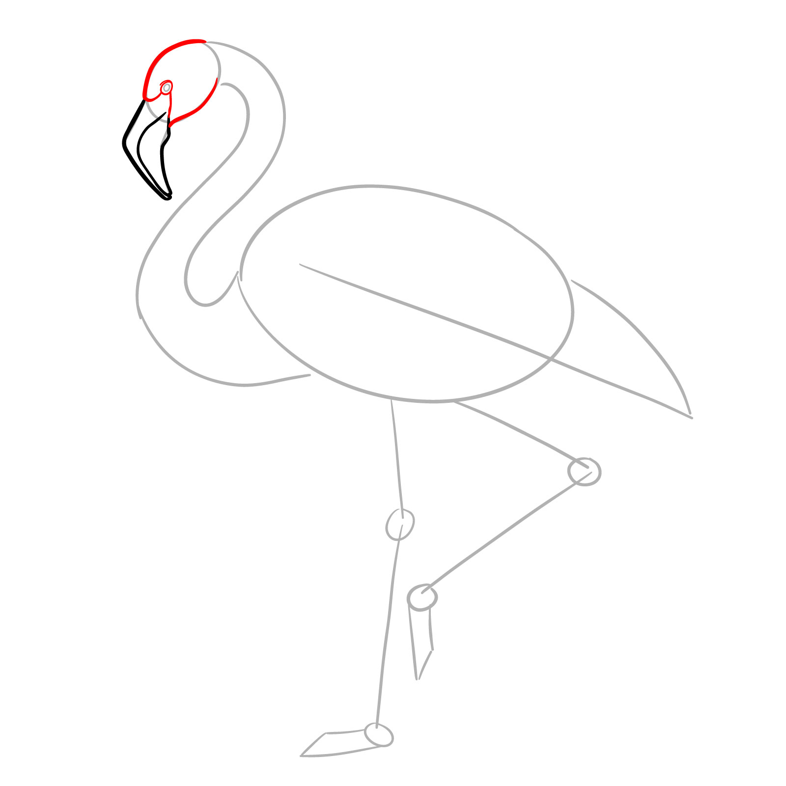 Head outline and eye placement for flamingo drawing - step 05