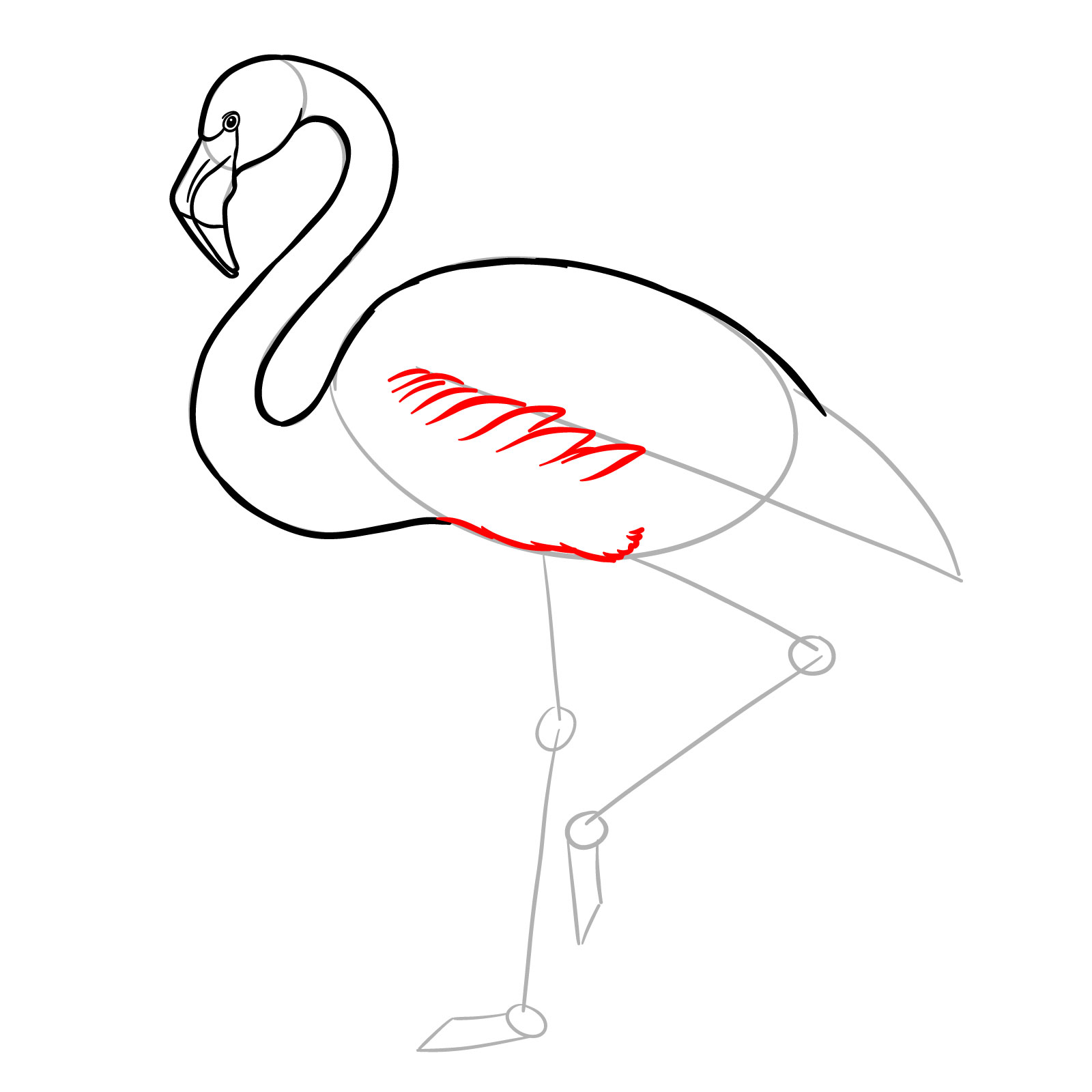 Feathered body outline for flamingo drawing - step 07