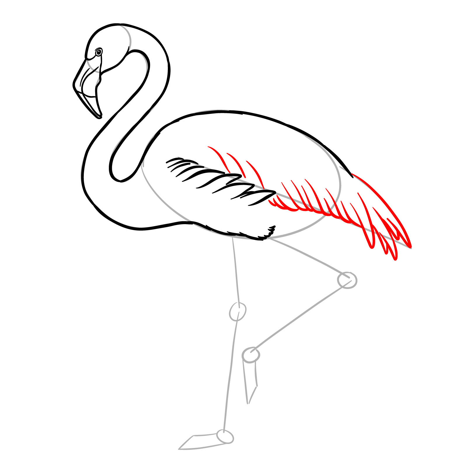 Wing and tail feathers for flamingo drawing - step 08