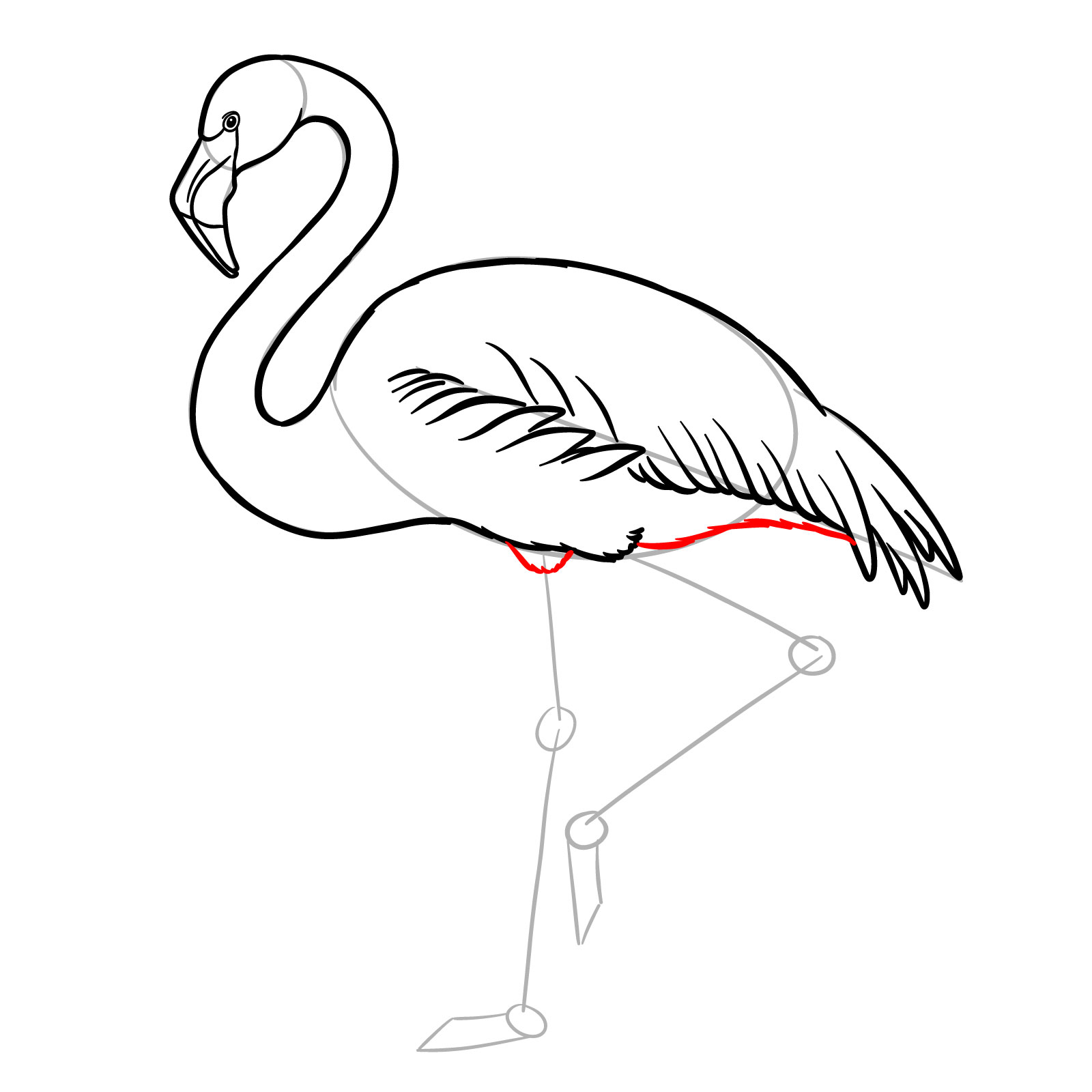 Feathered leg and wing base for how to draw a flamingo - step 09