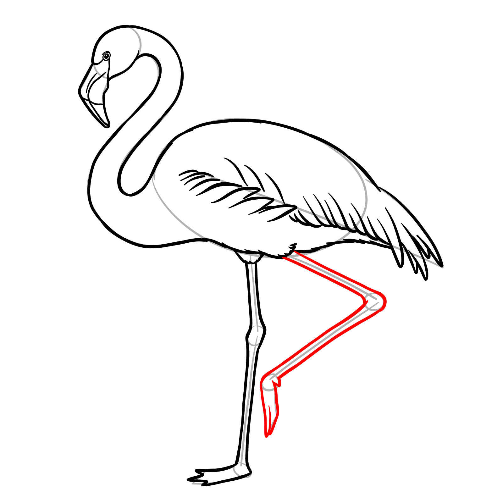 Bent leg sketch for flamingo drawing - step 11