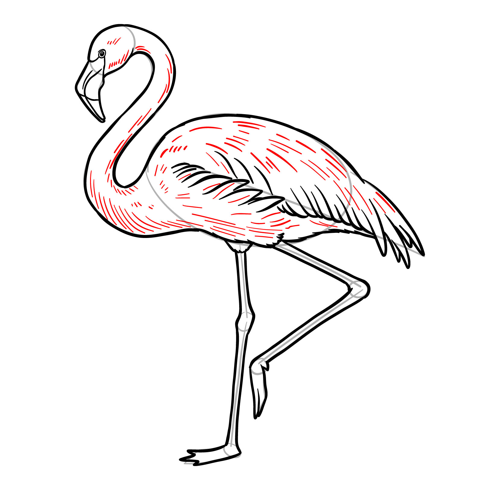 Feather texture details for how to draw a flamingo - step 12