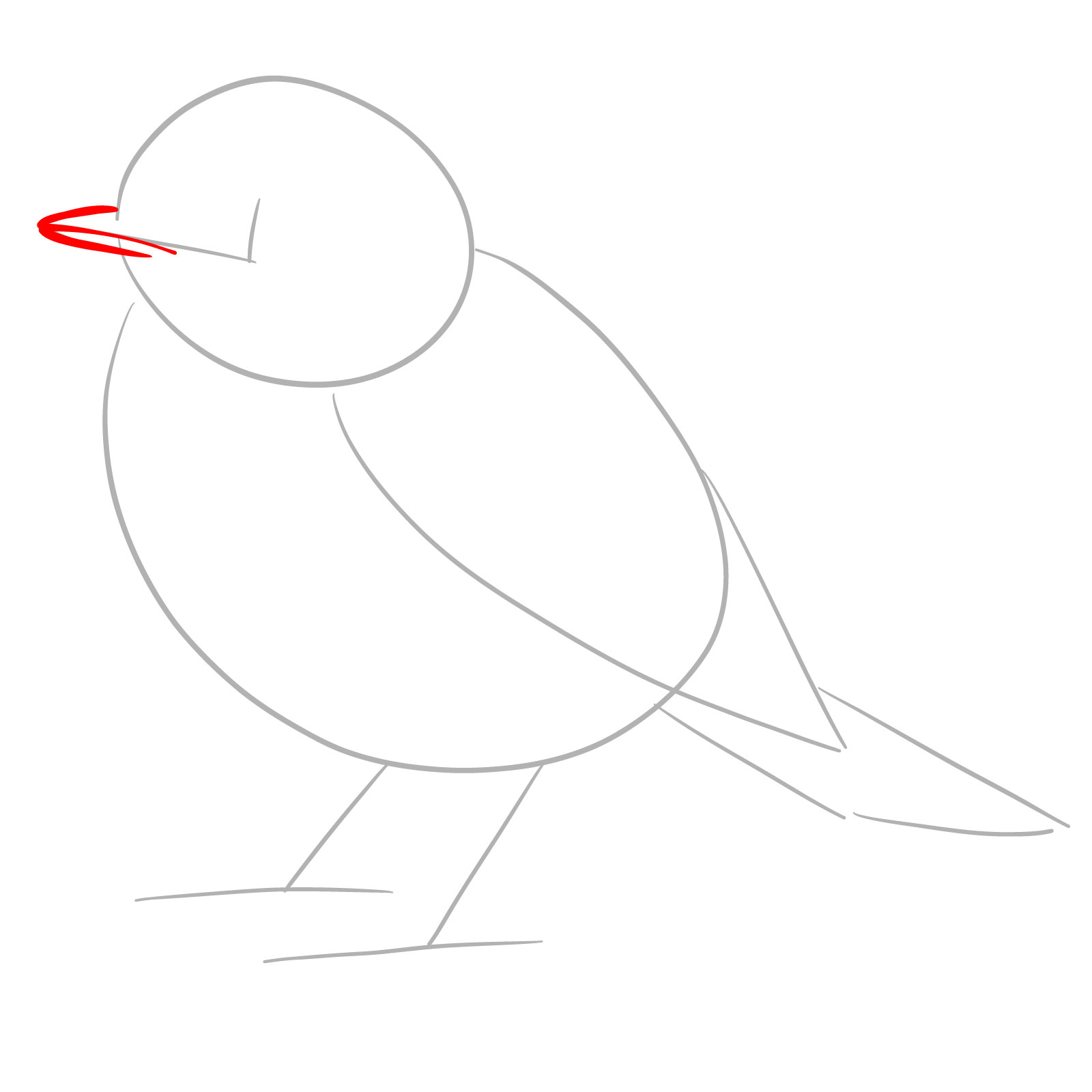 Beak outline and division for robin drawing - step 03