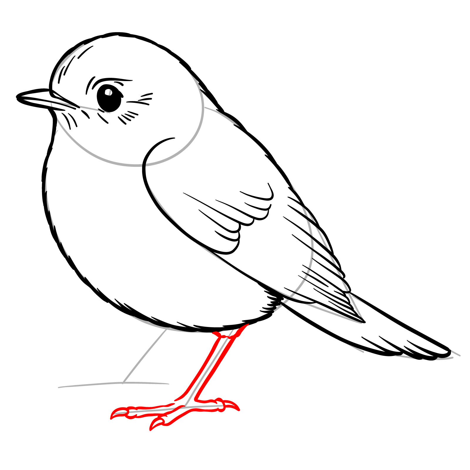 First leg and toes placement for how to draw a robin bird - step 11