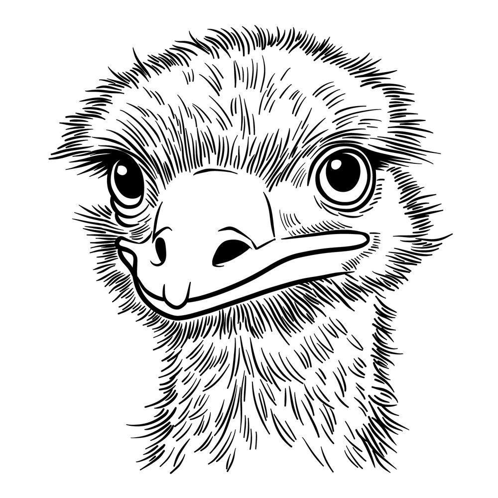 Easy Guide on How to Draw an Emu’s Face from a Side Angle
