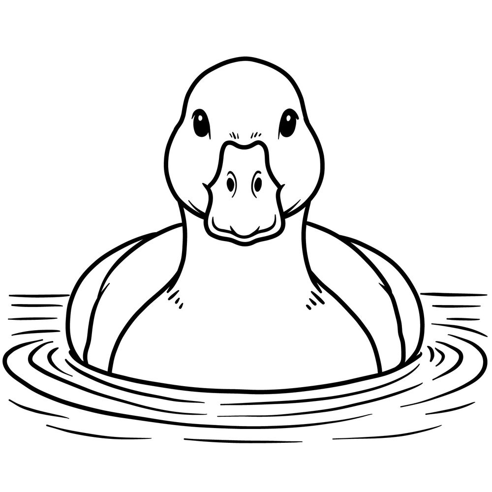 How to Draw a Duck Floating on Water From the Front View