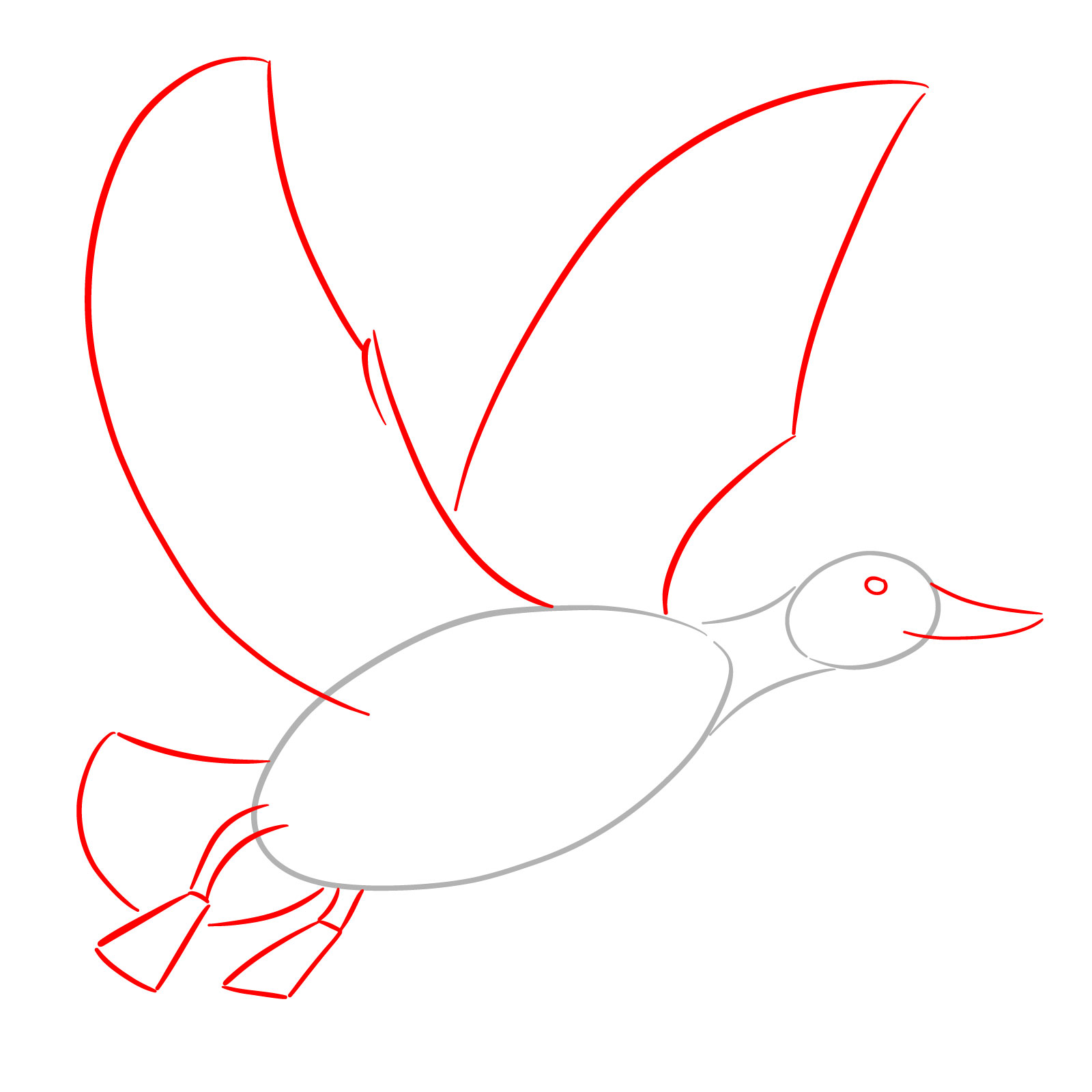 How to Draw a Duck in Flight - step 02