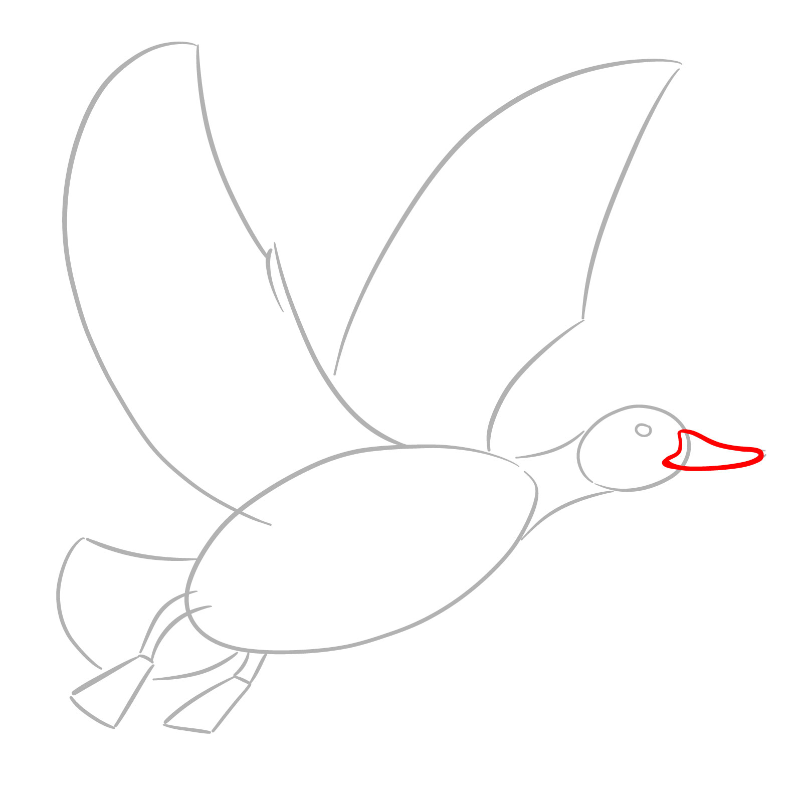 How to Draw a Duck in Flight - step 03