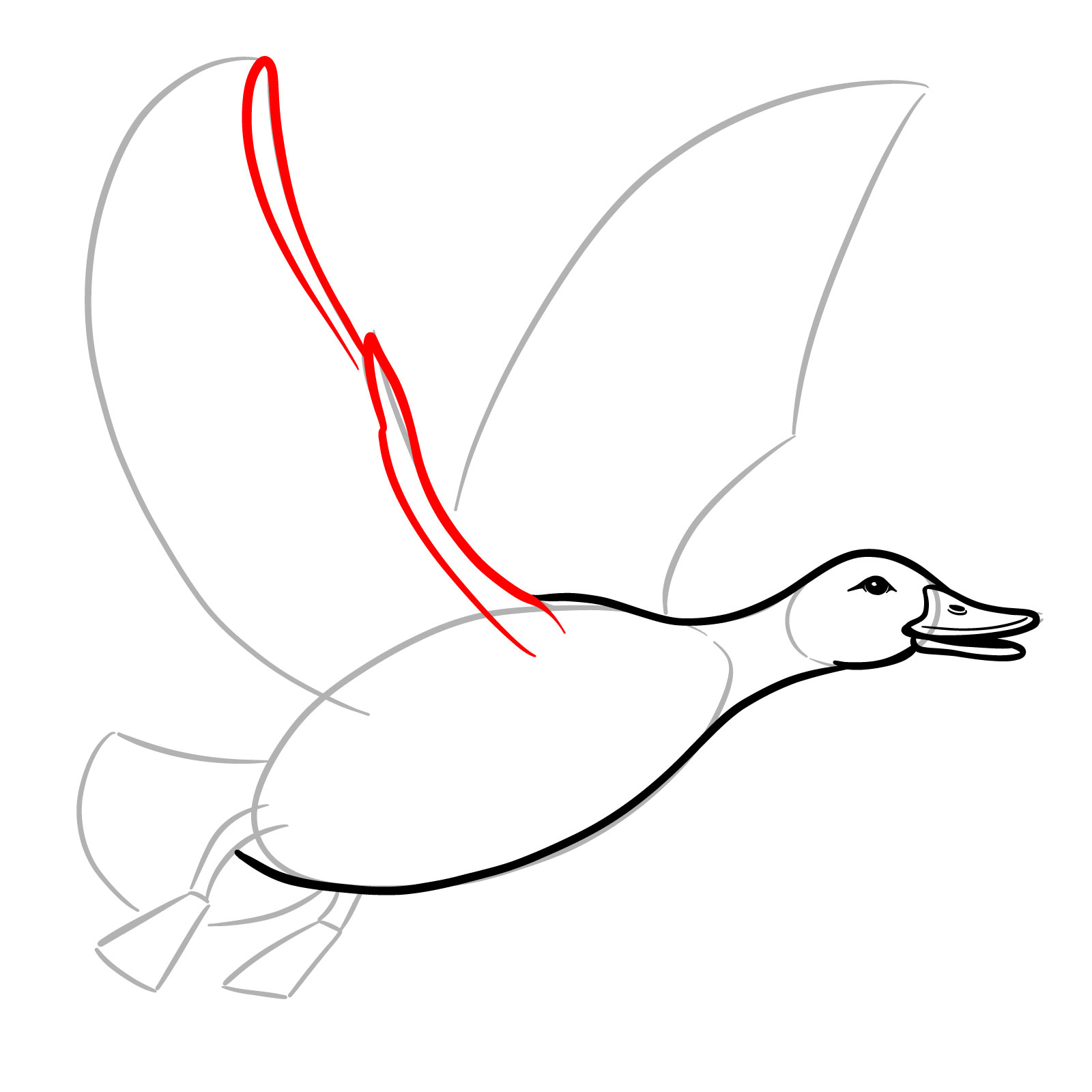 How to Draw a Duck in Flight - step 09