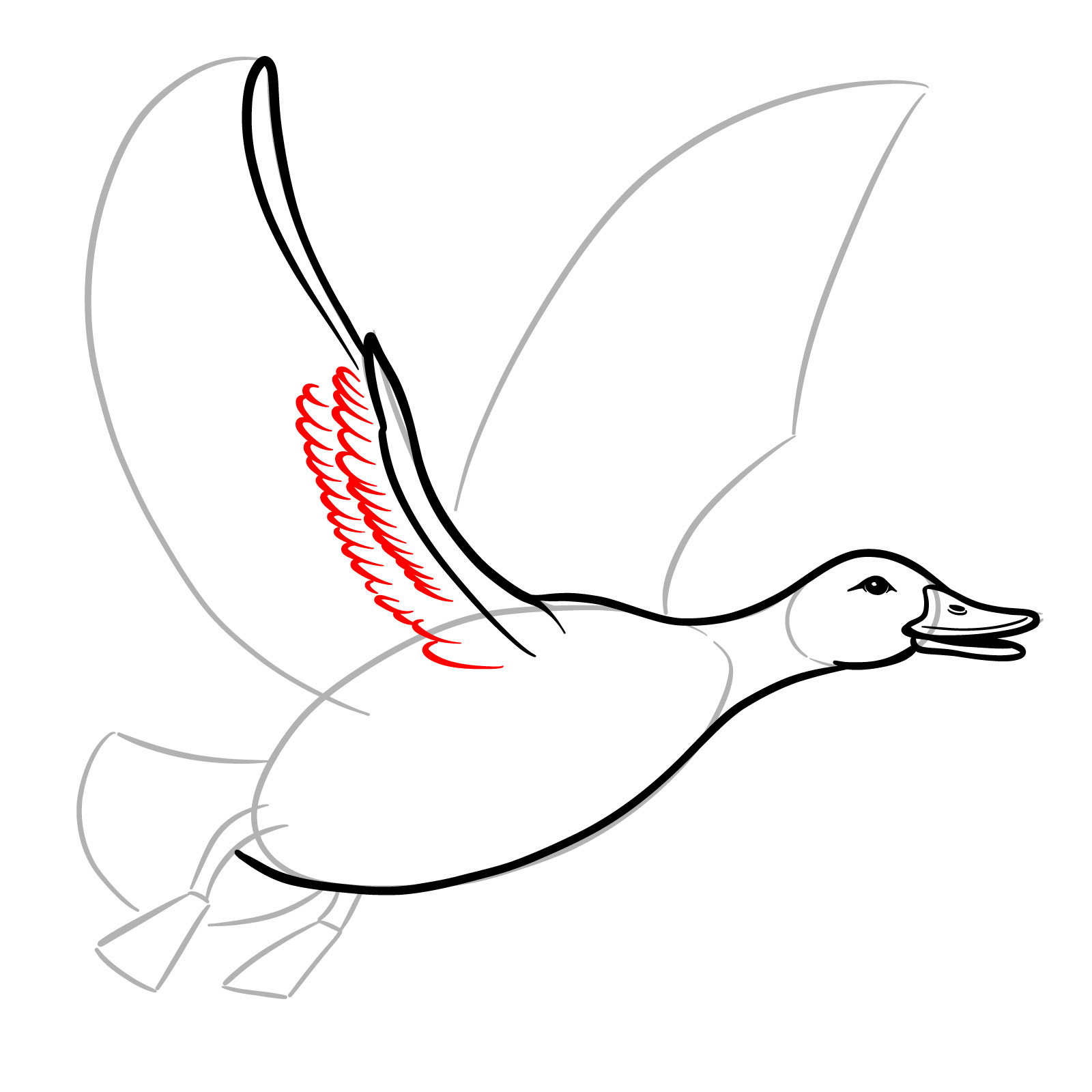 How to Draw a Duck in Flight - step 10