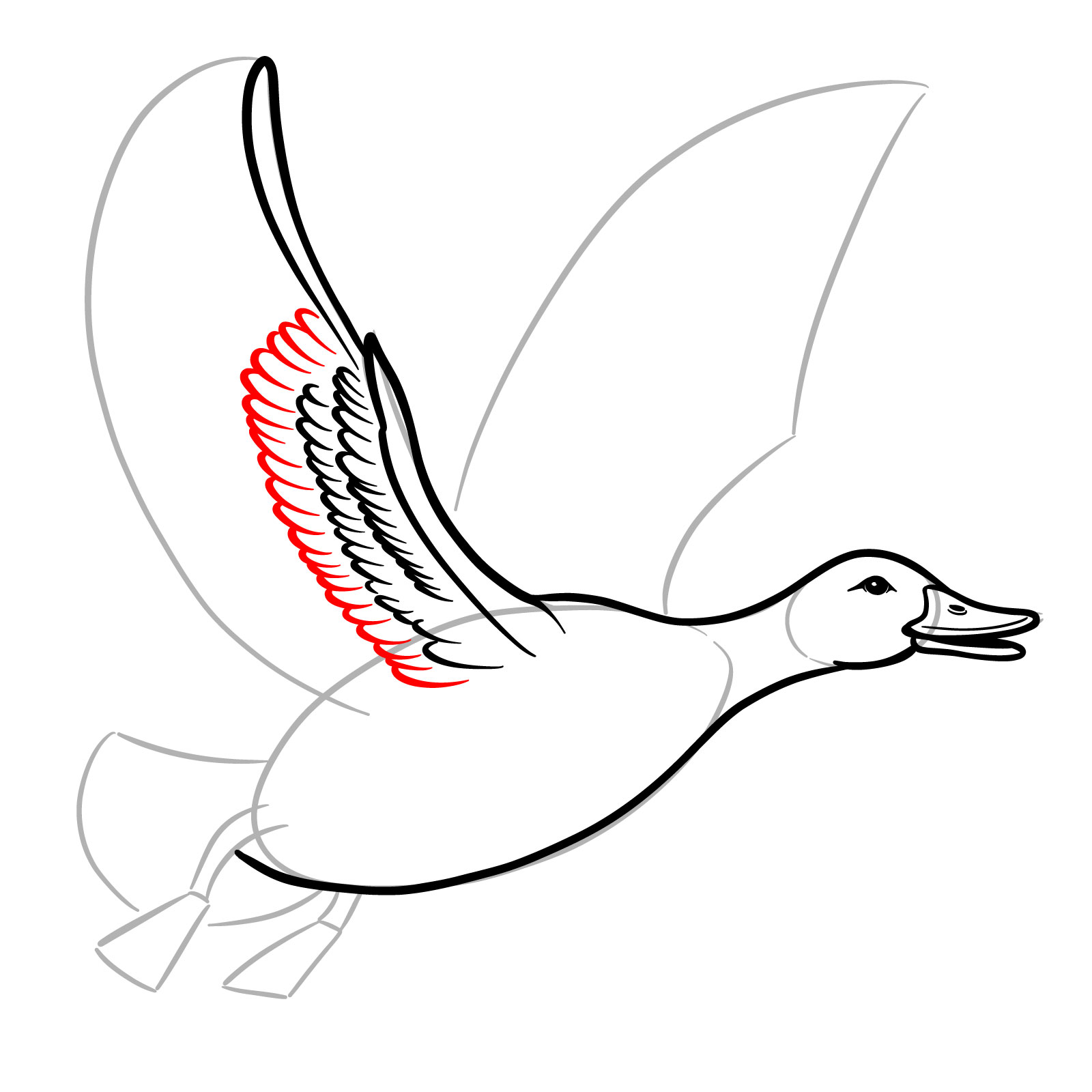 How to Draw a Duck in Flight - step 11