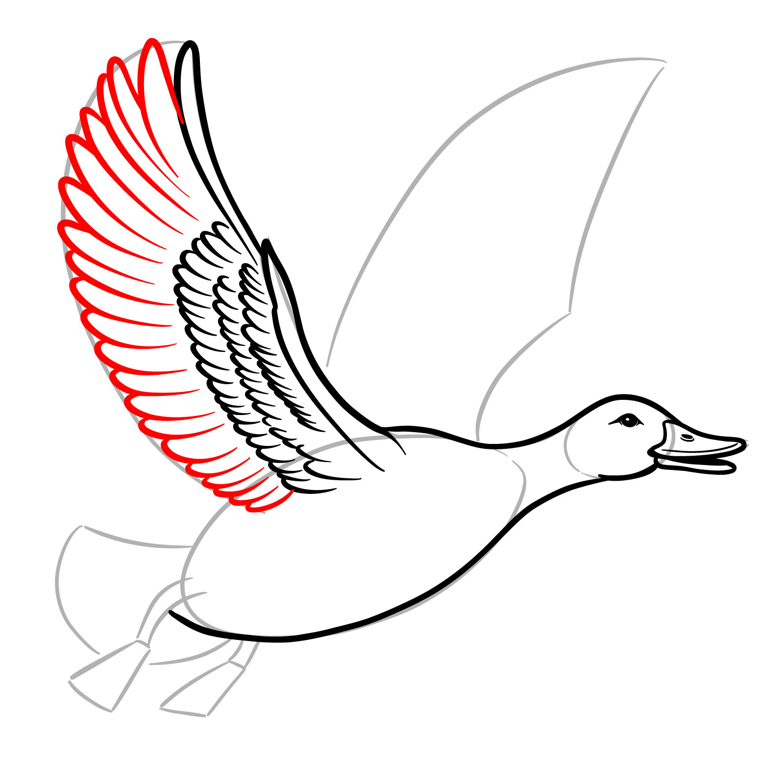 How to Draw a Duck in Flight - step 12
