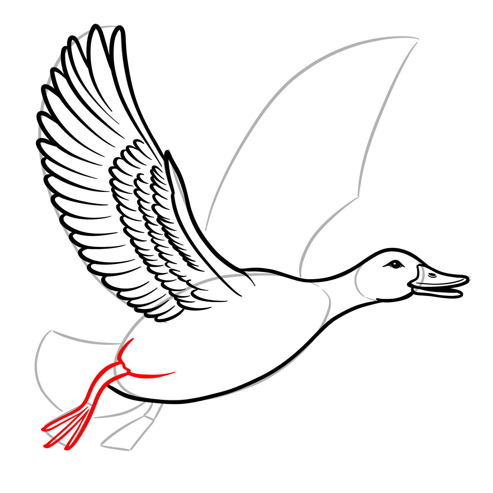 How to Draw a Duck in Flight - step 13