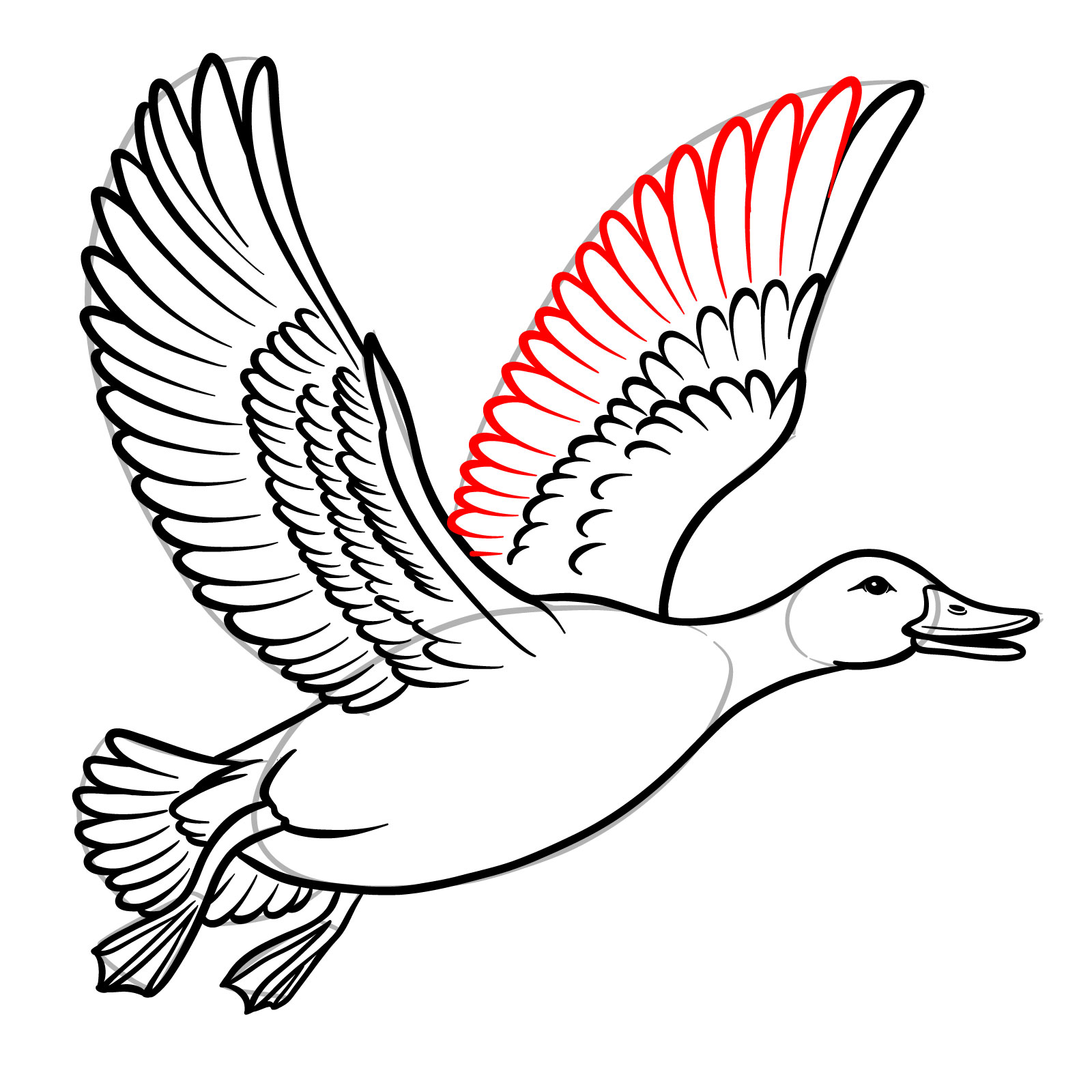 How to Draw a Duck in Flight - step 19