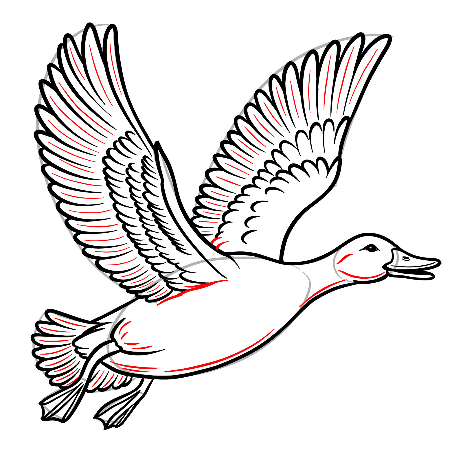 How to Draw a Duck in Flight - step 20