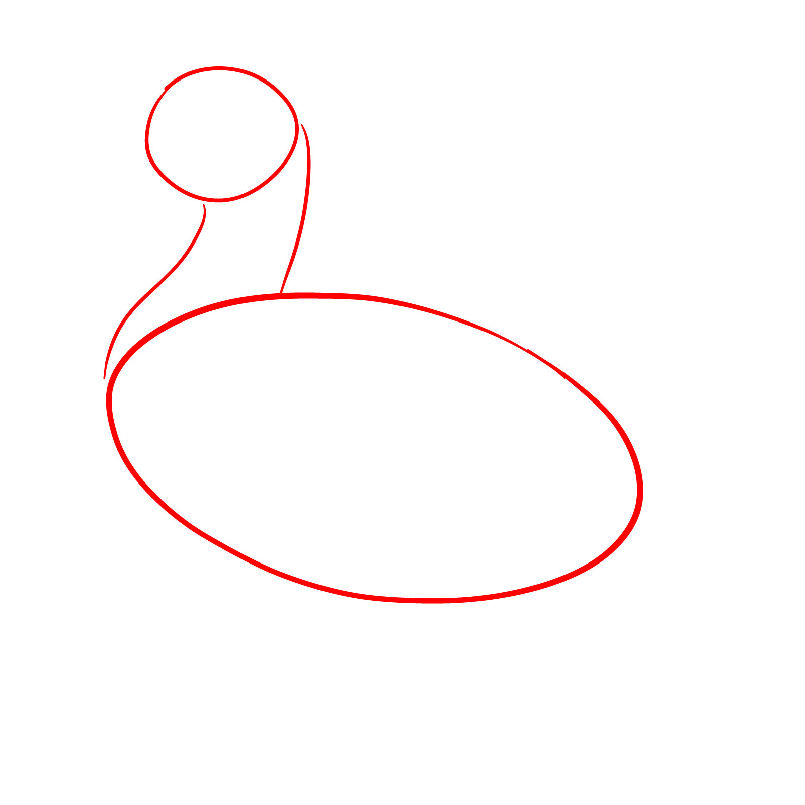 How to Draw a Mallard Duck - step 01
