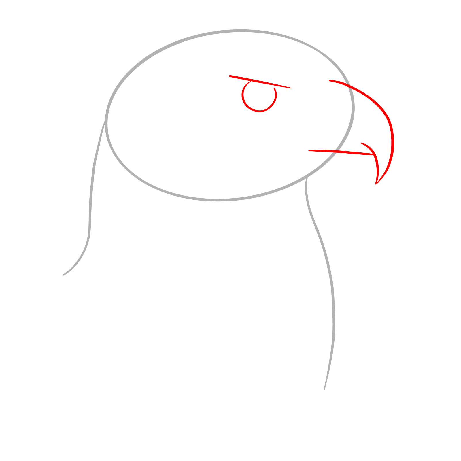How to Draw a Golden Eagle Head - step 02