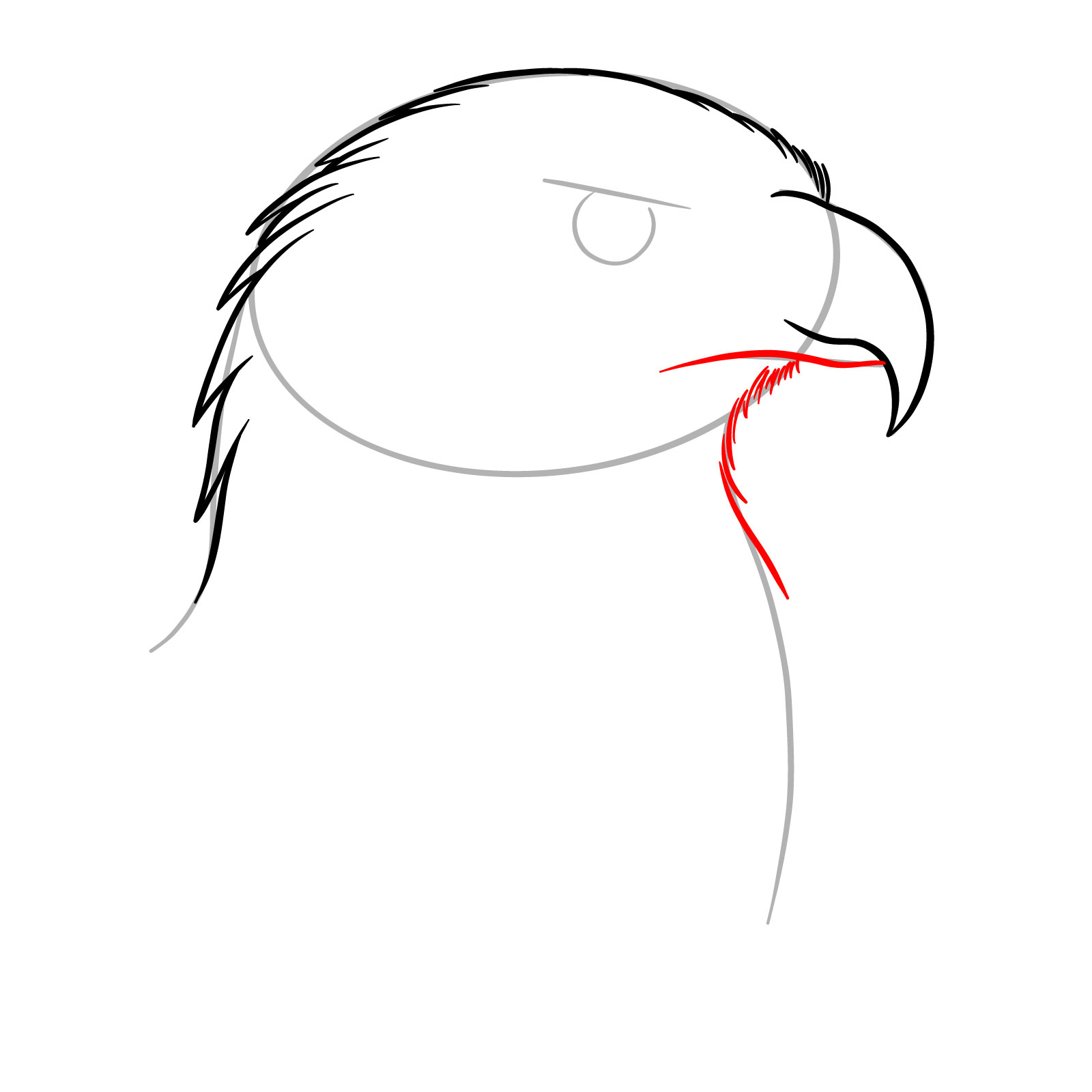 How to Draw a Golden Eagle Head - step 05