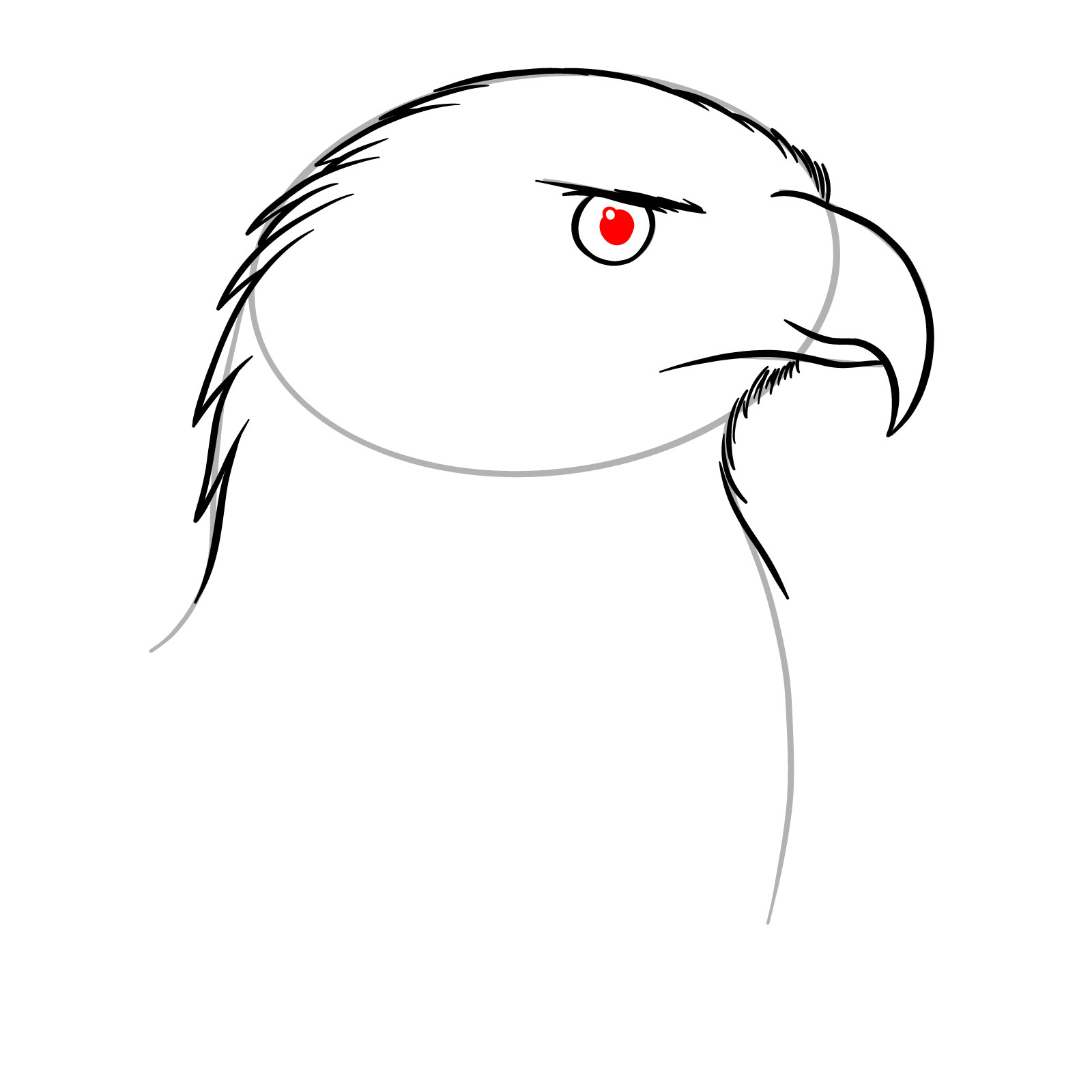 How to Draw a Golden Eagle Head - step 07