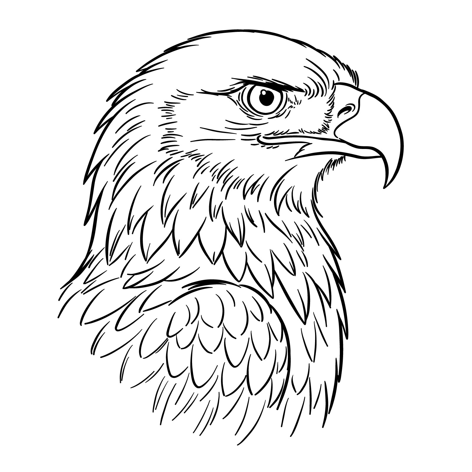 How to Draw a Golden Eagle Head - step 16
