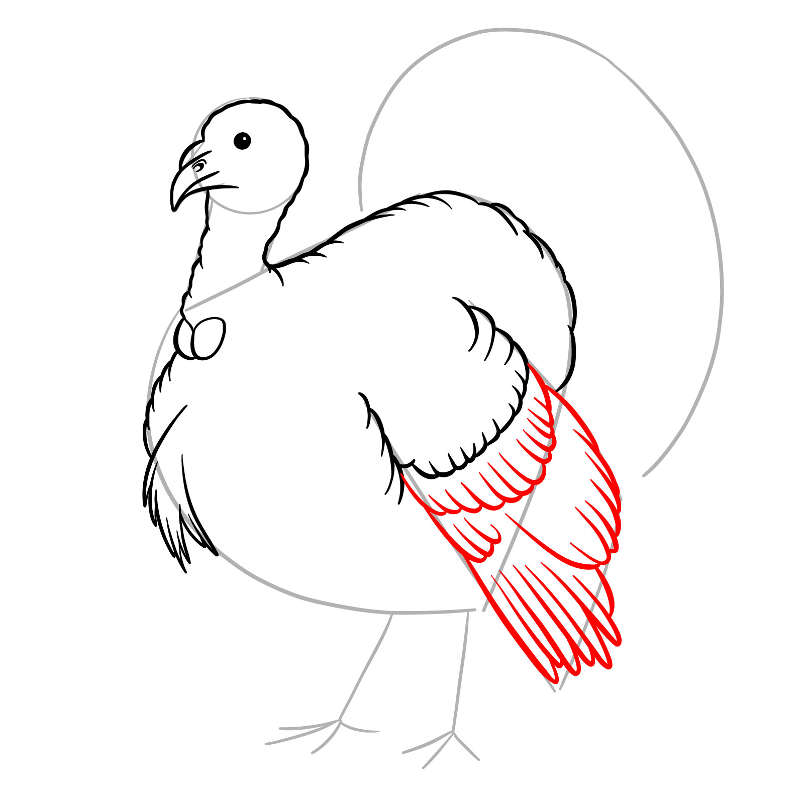 How to Draw a Turkey - step 10