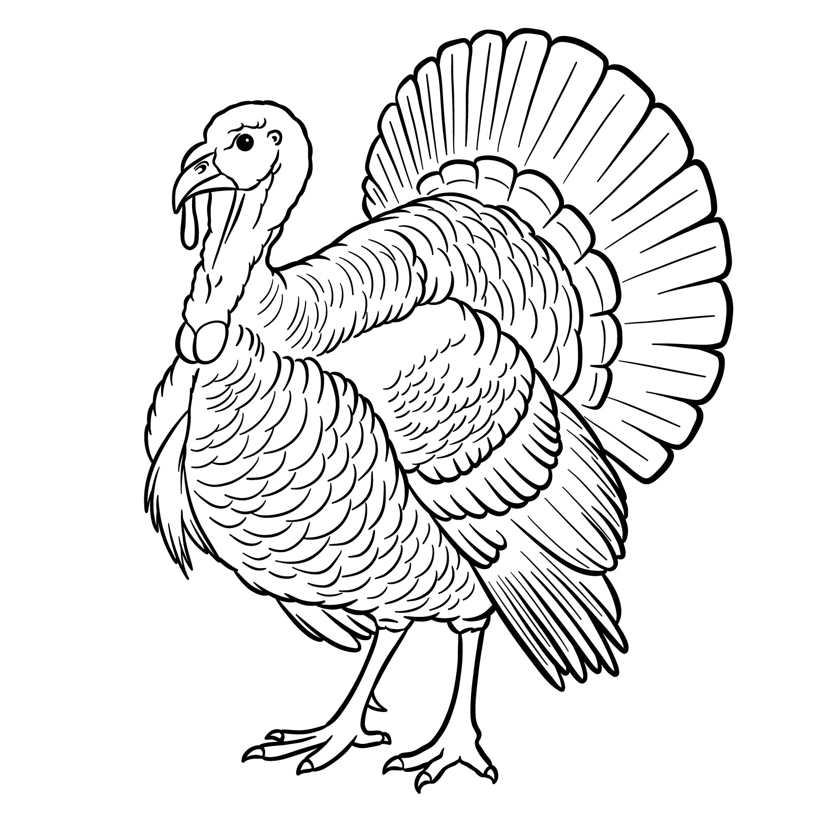 How to Draw a Turkey - step 20