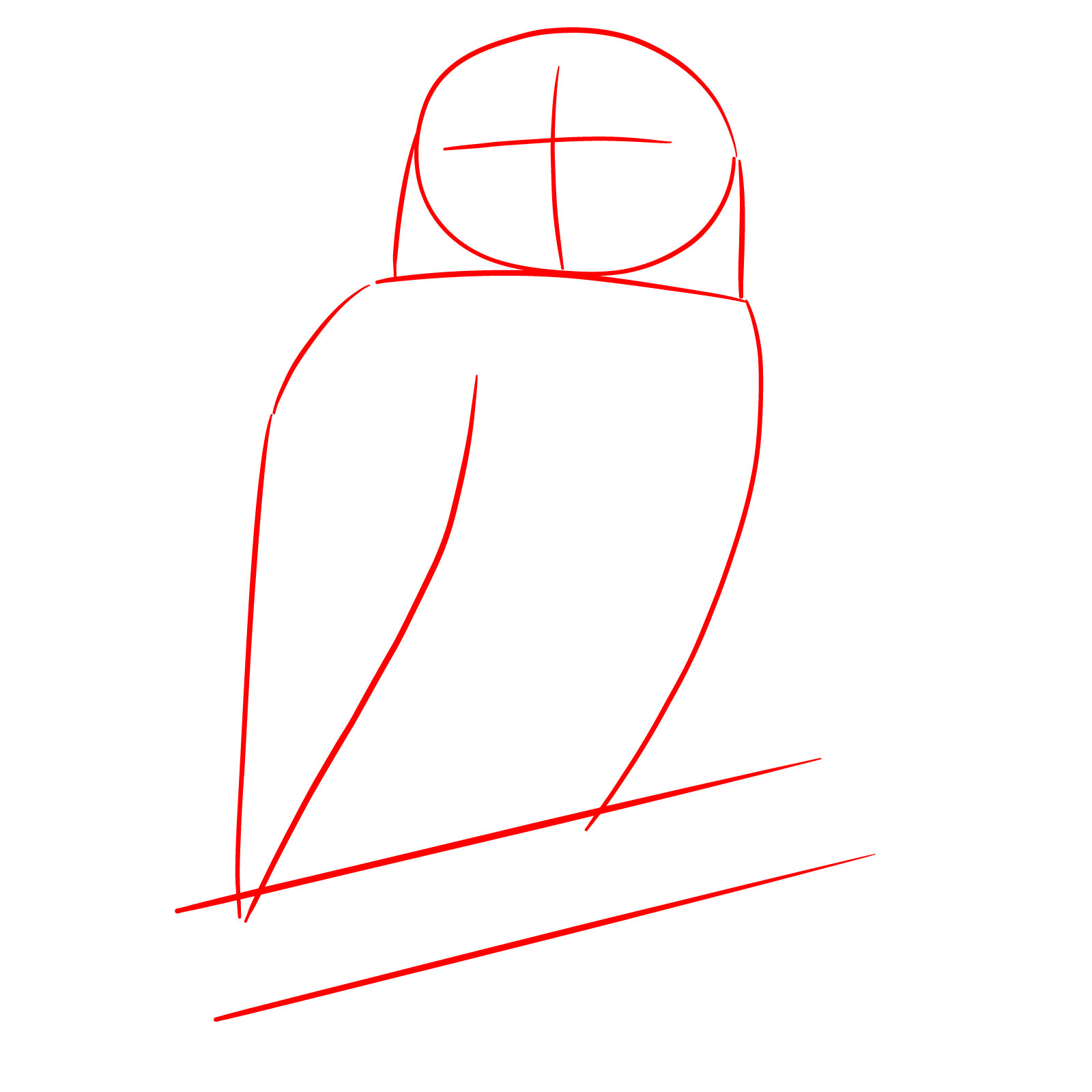 How to Draw a Snowy Owl - step 01